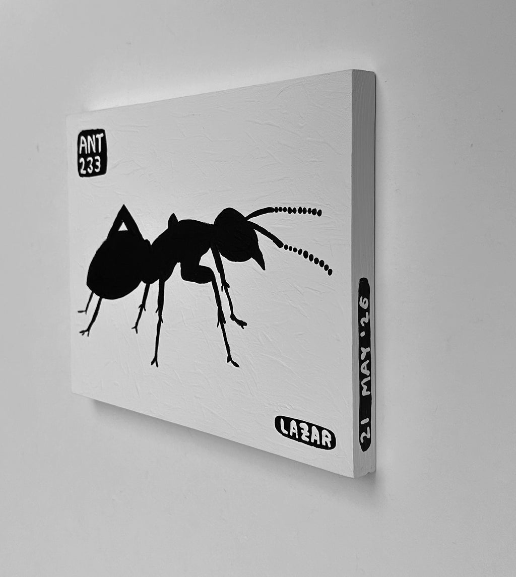 Ant #233