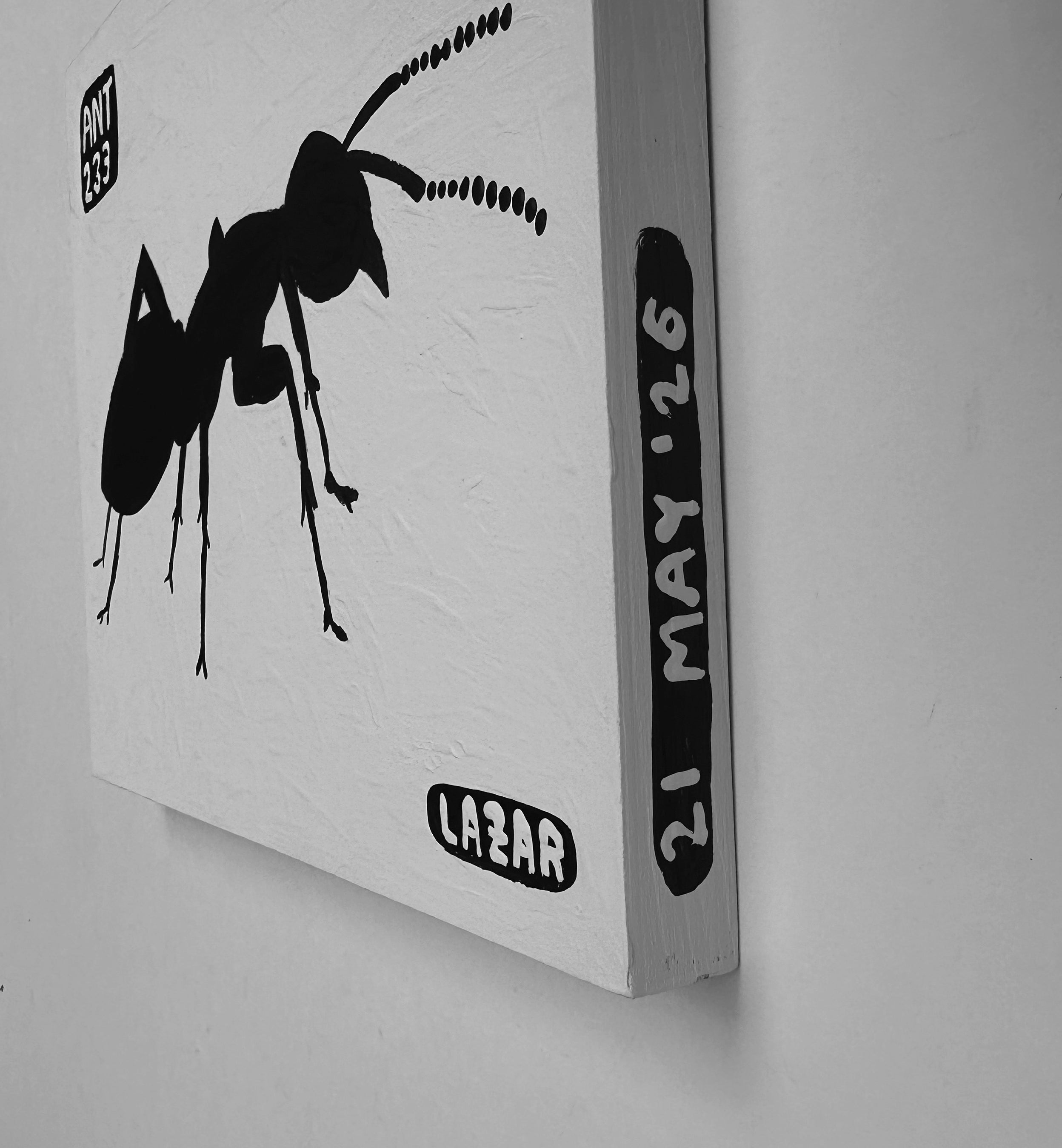 Ant #233