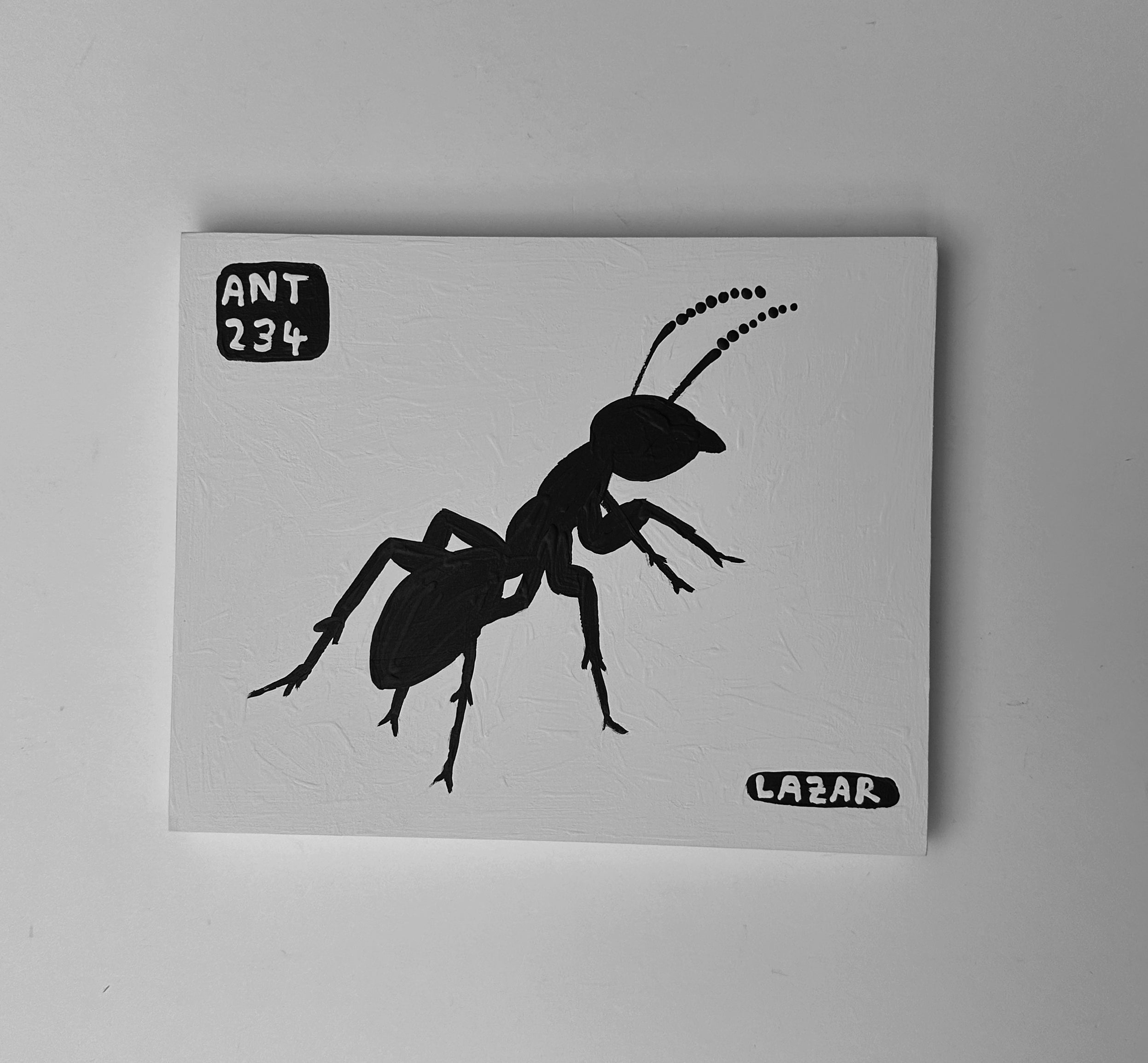 Ant #234