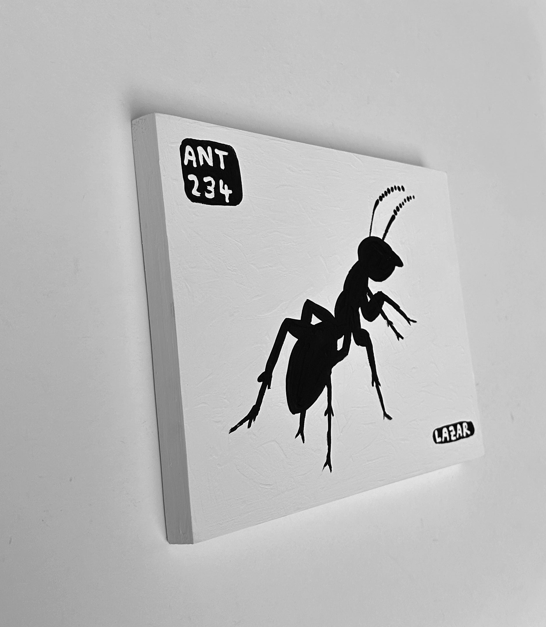 Ant #234