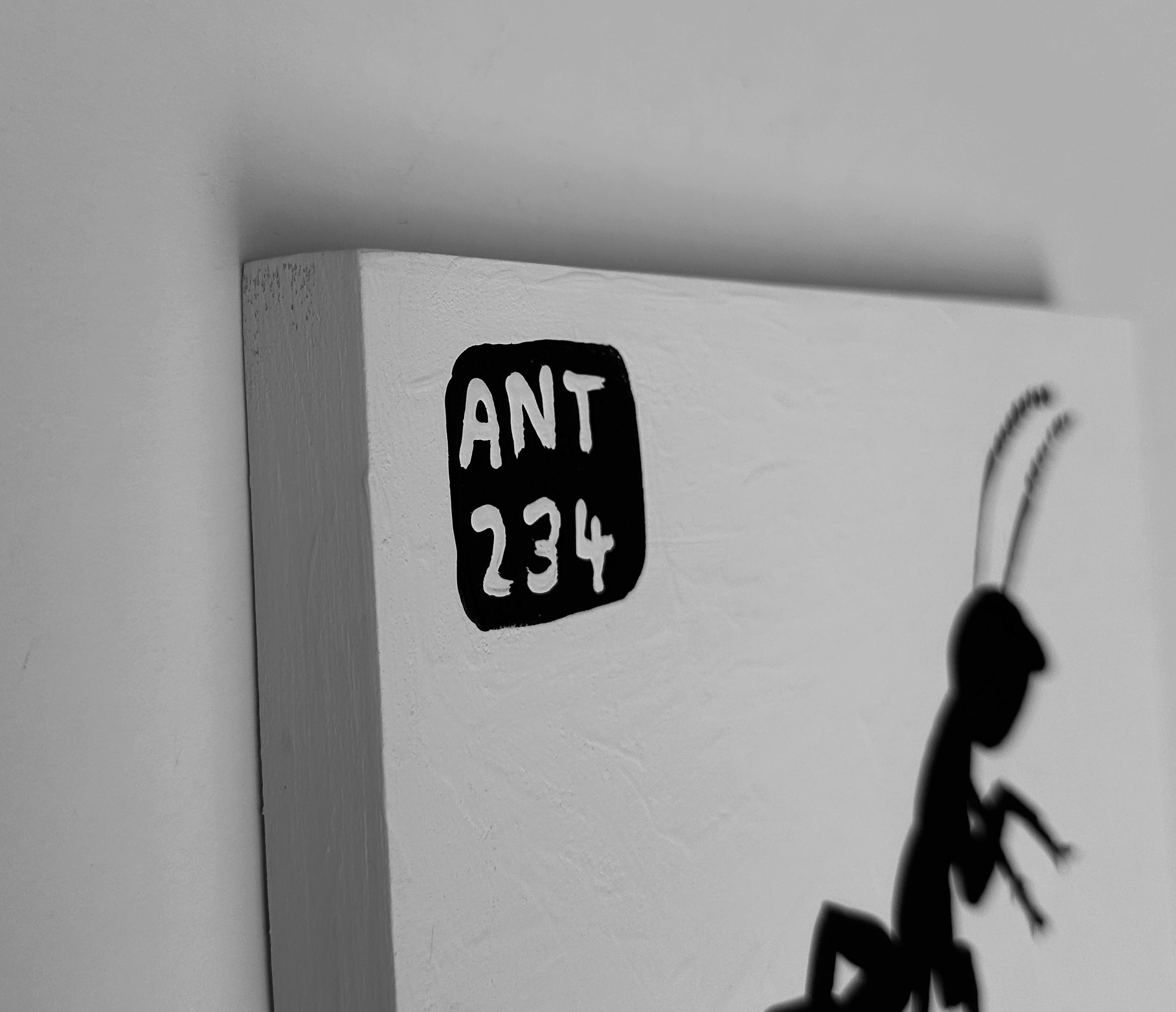 Ant #234