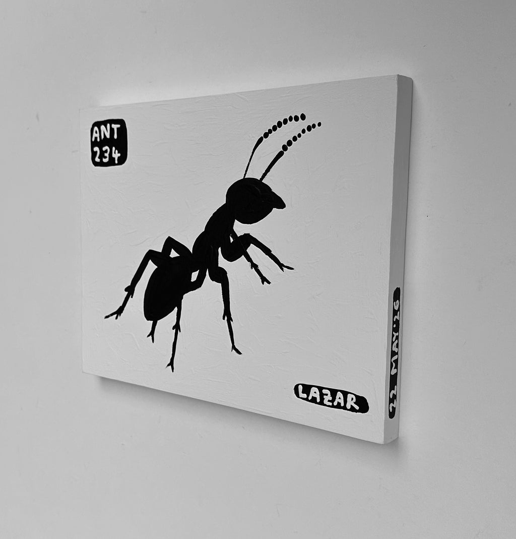 Ant #234