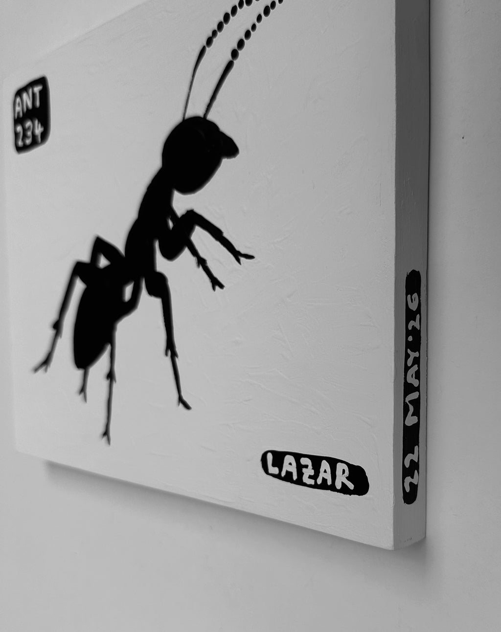 Ant #234
