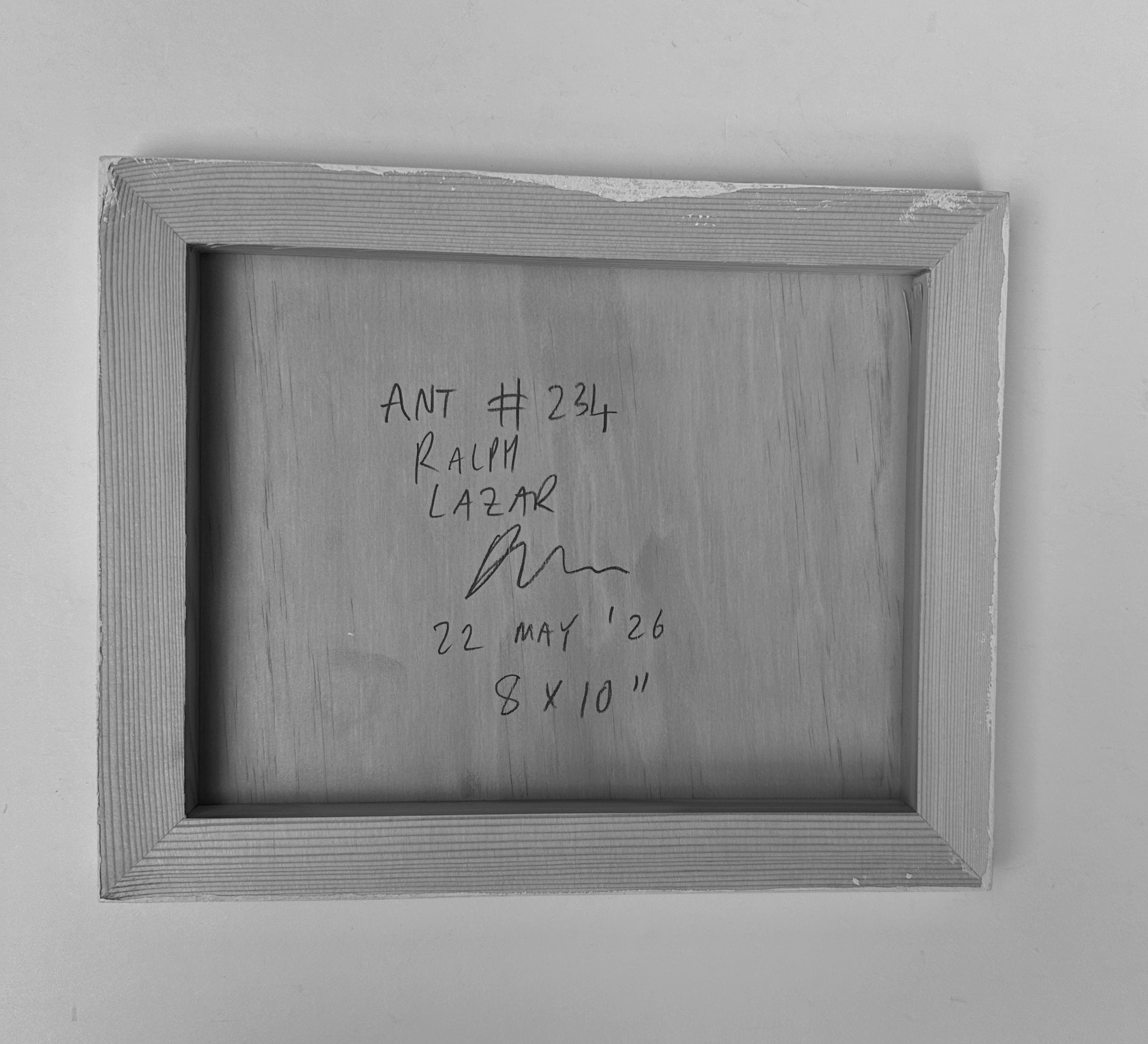 Ant #234