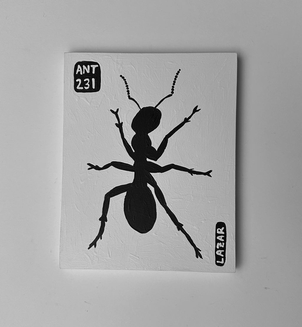 Ant #231