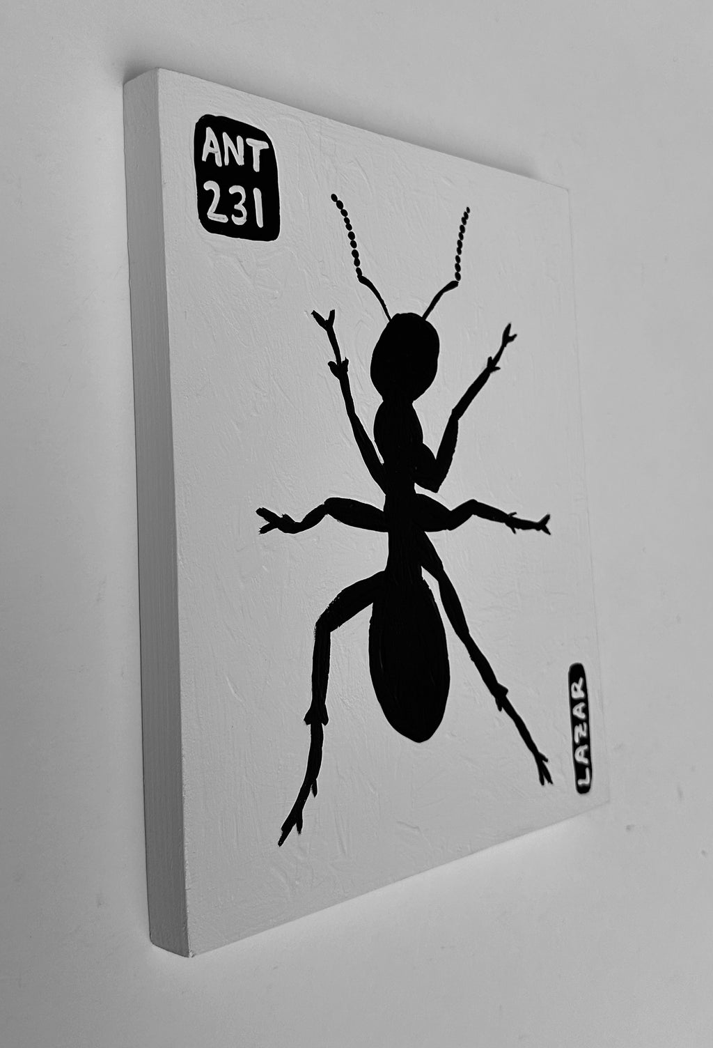 Ant #231