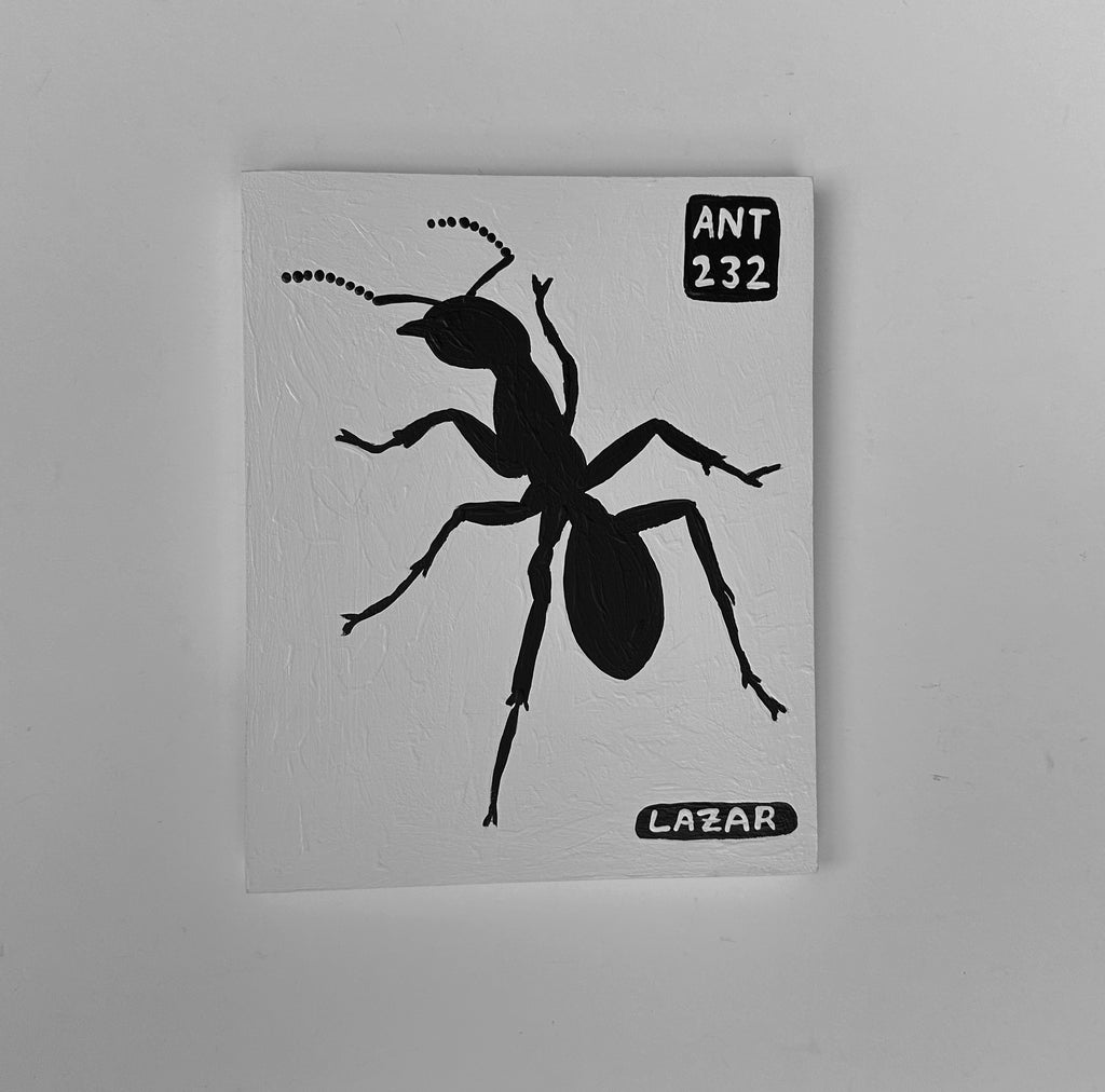 Ant #232