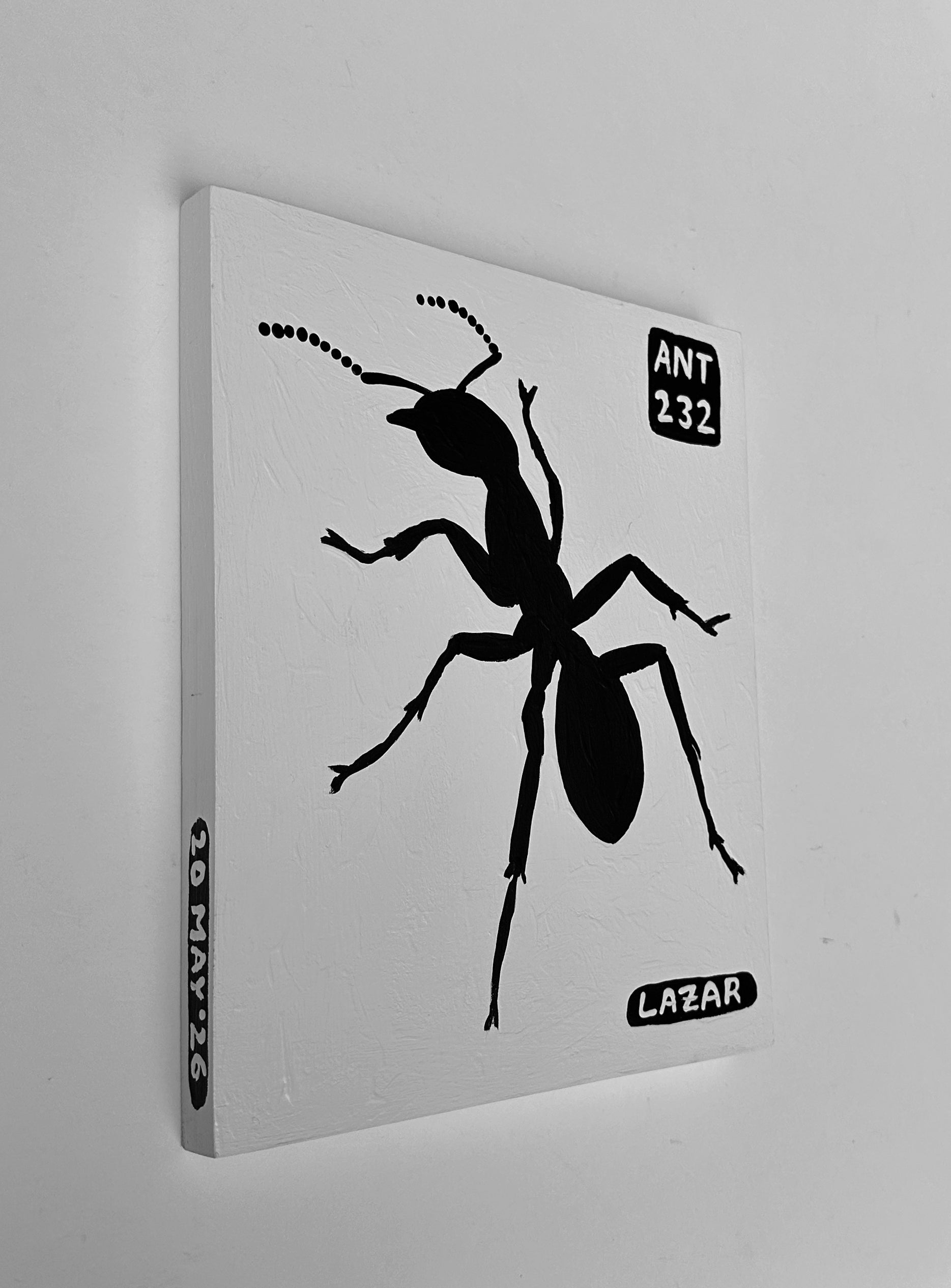 Ant #232