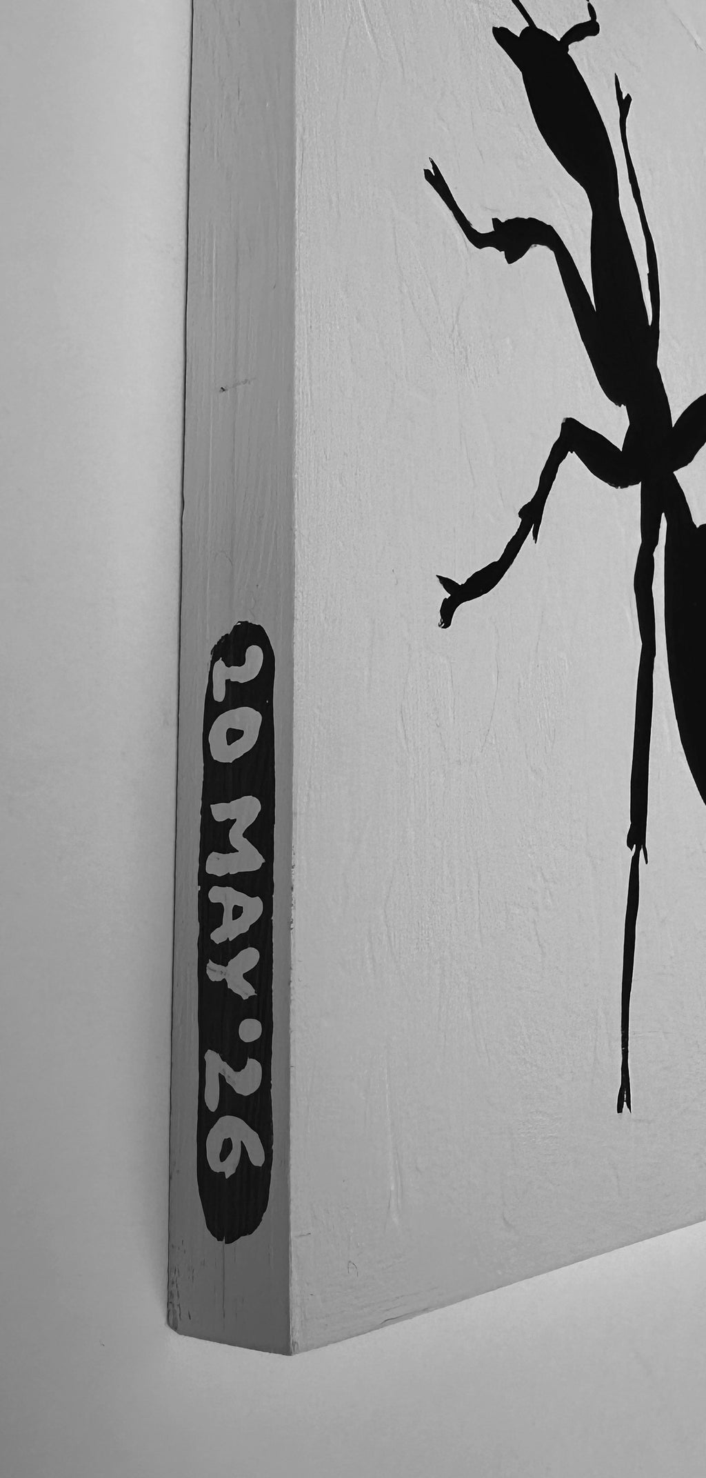 Ant #232