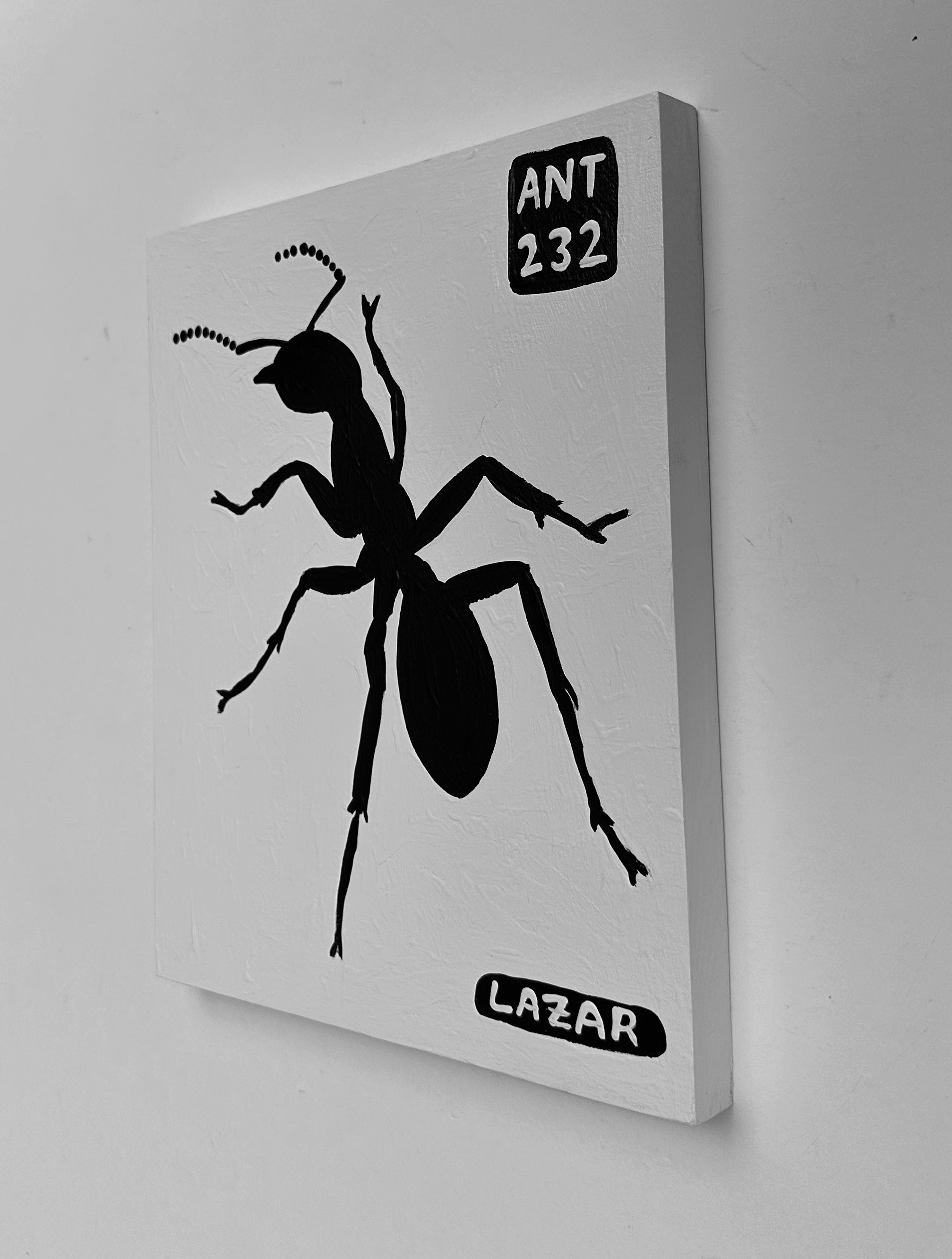 Ant #232
