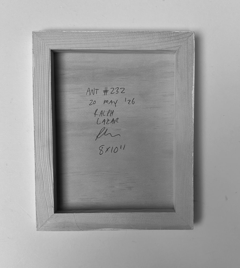 Ant #232