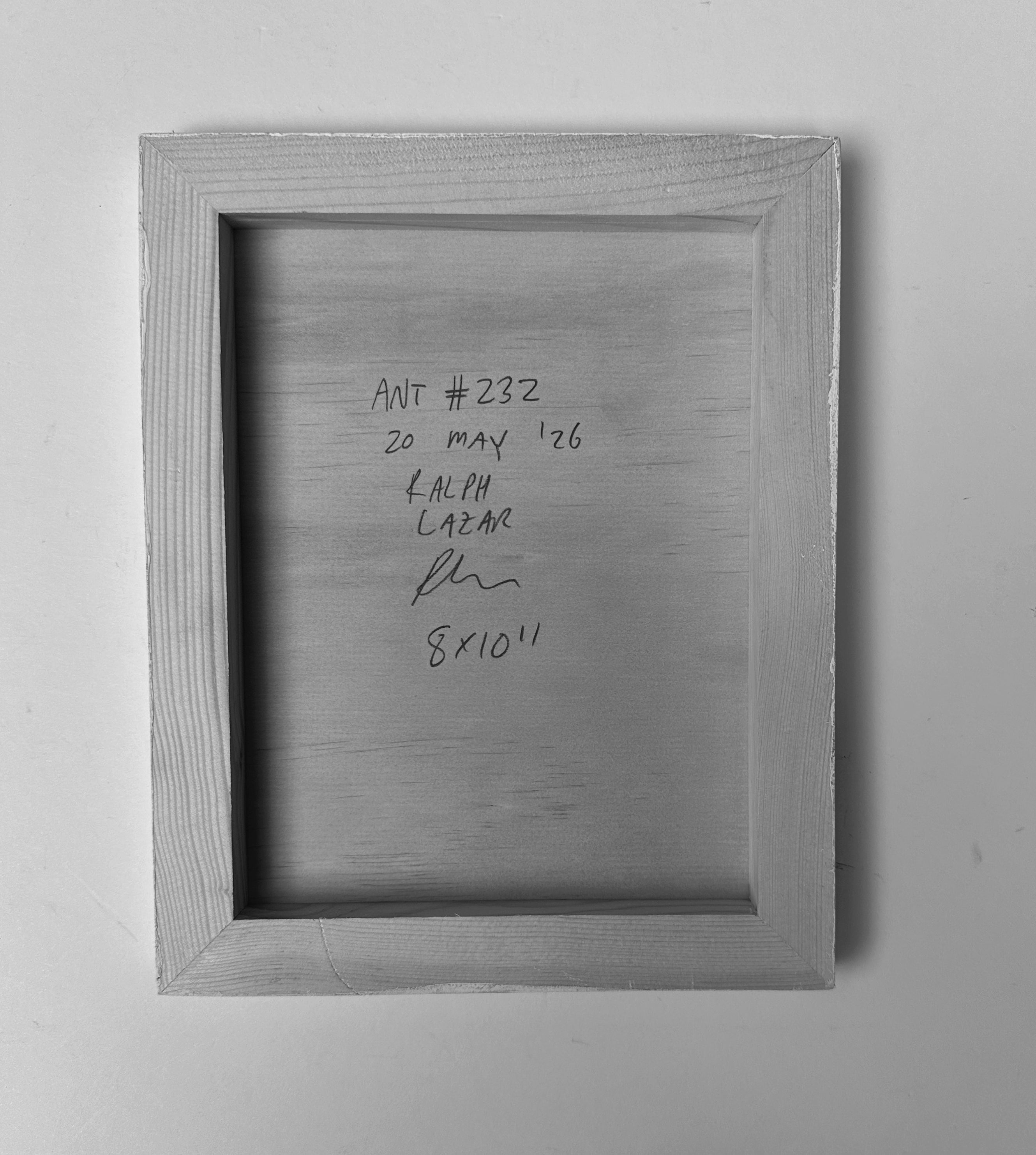 Ant #232