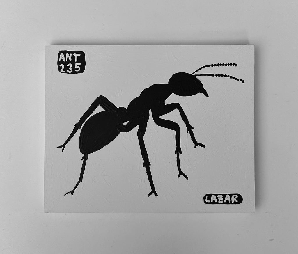 Ant #235