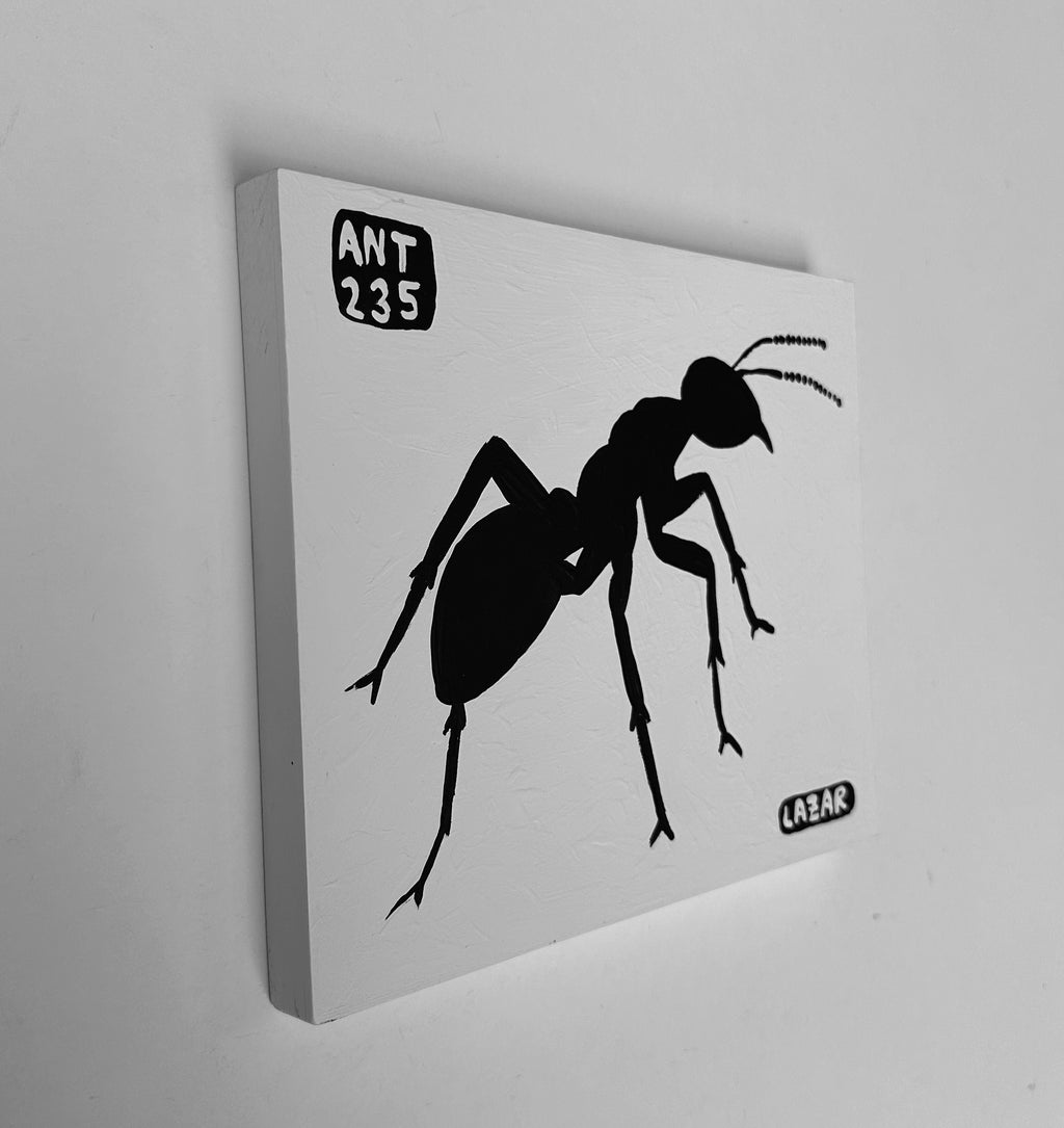 Ant #235