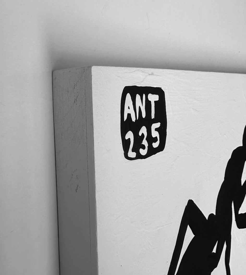 Ant #235