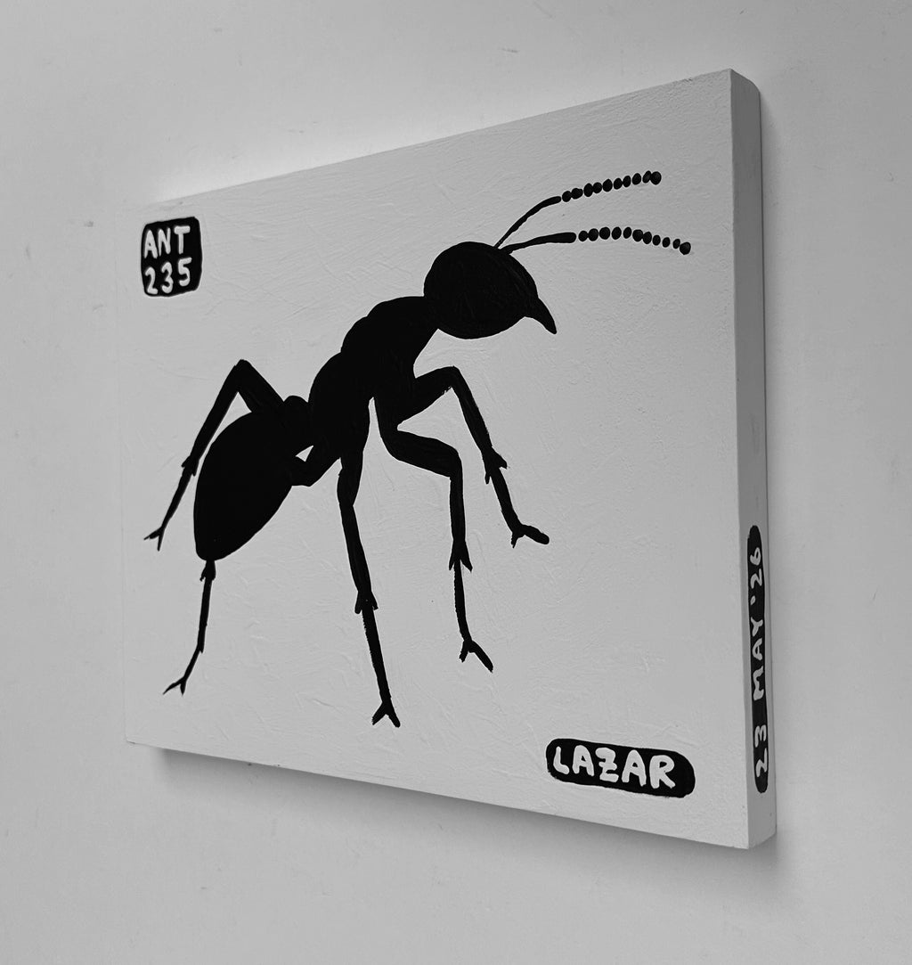 Ant #235