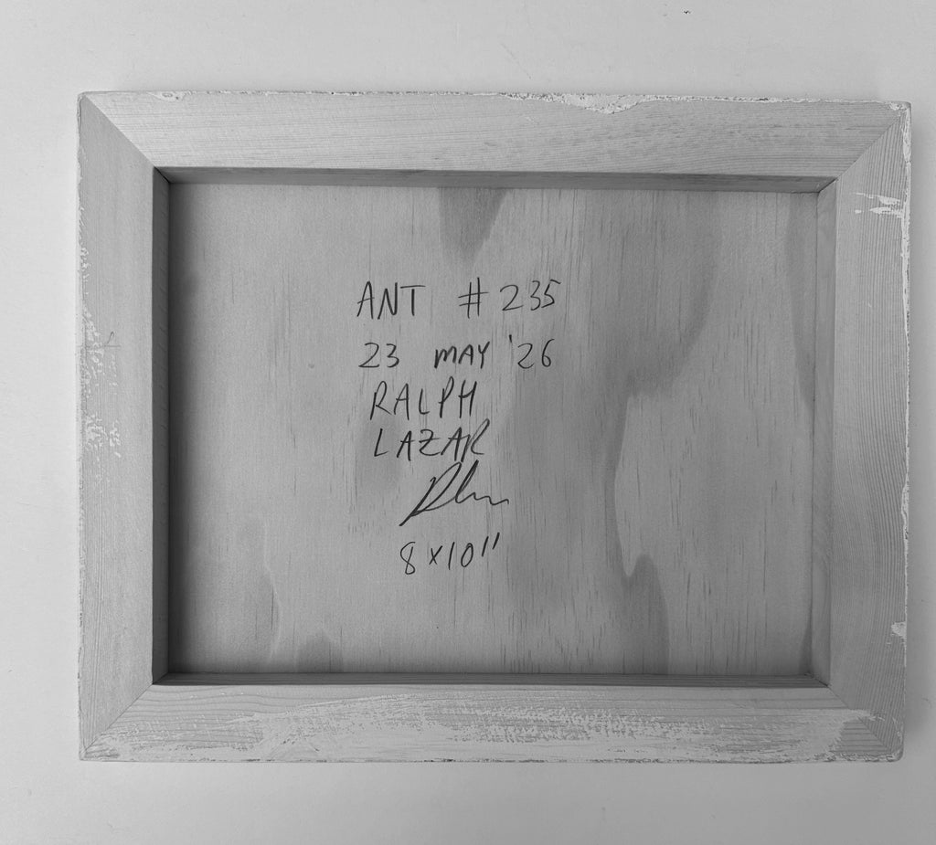 Ant #235