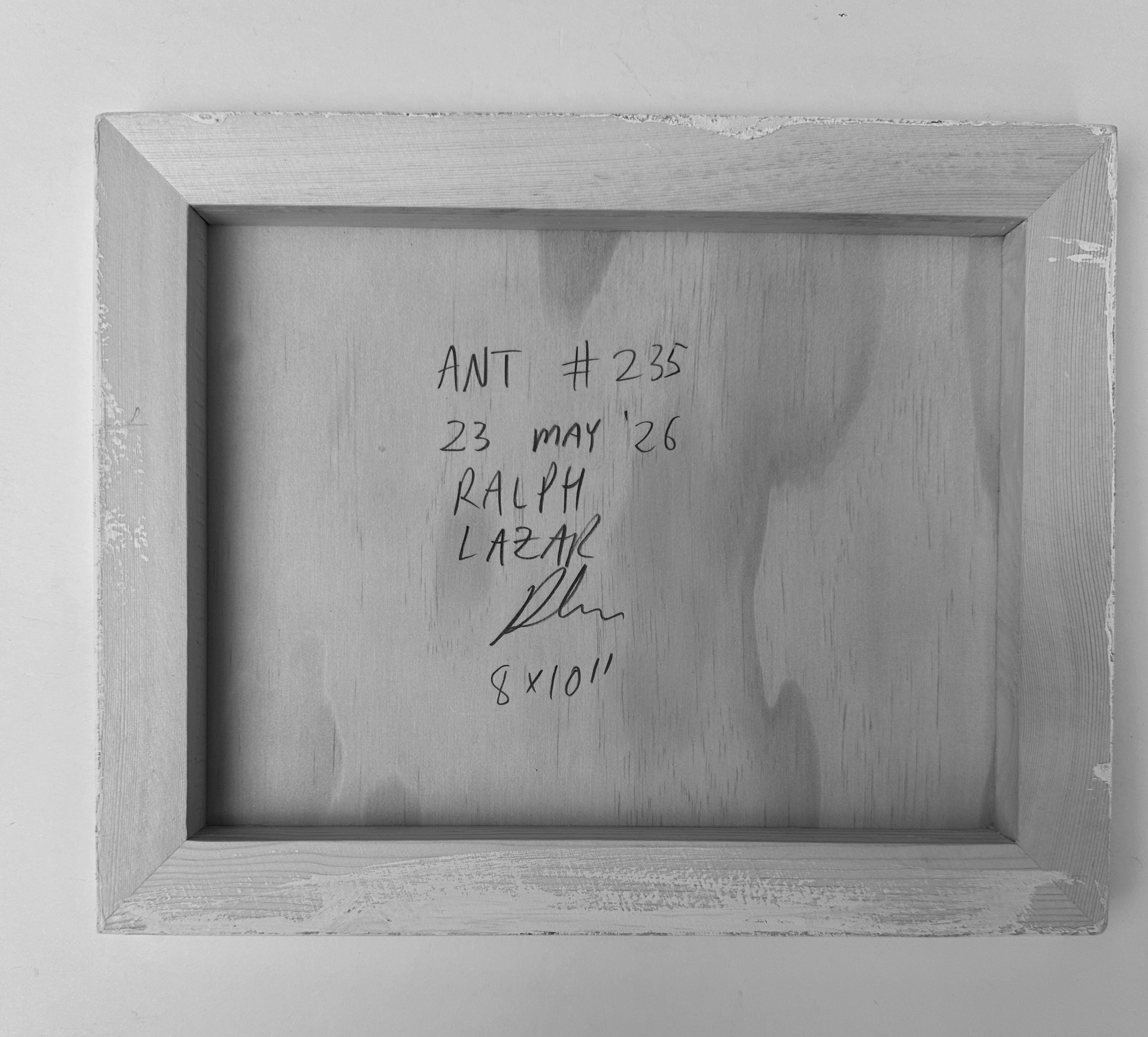 Ant #235