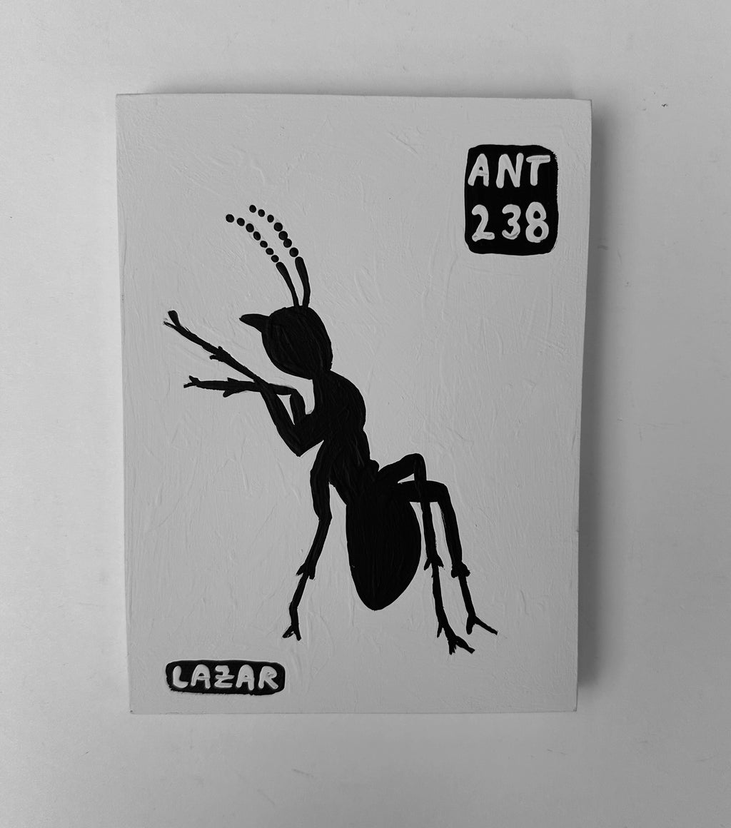 Ant #238