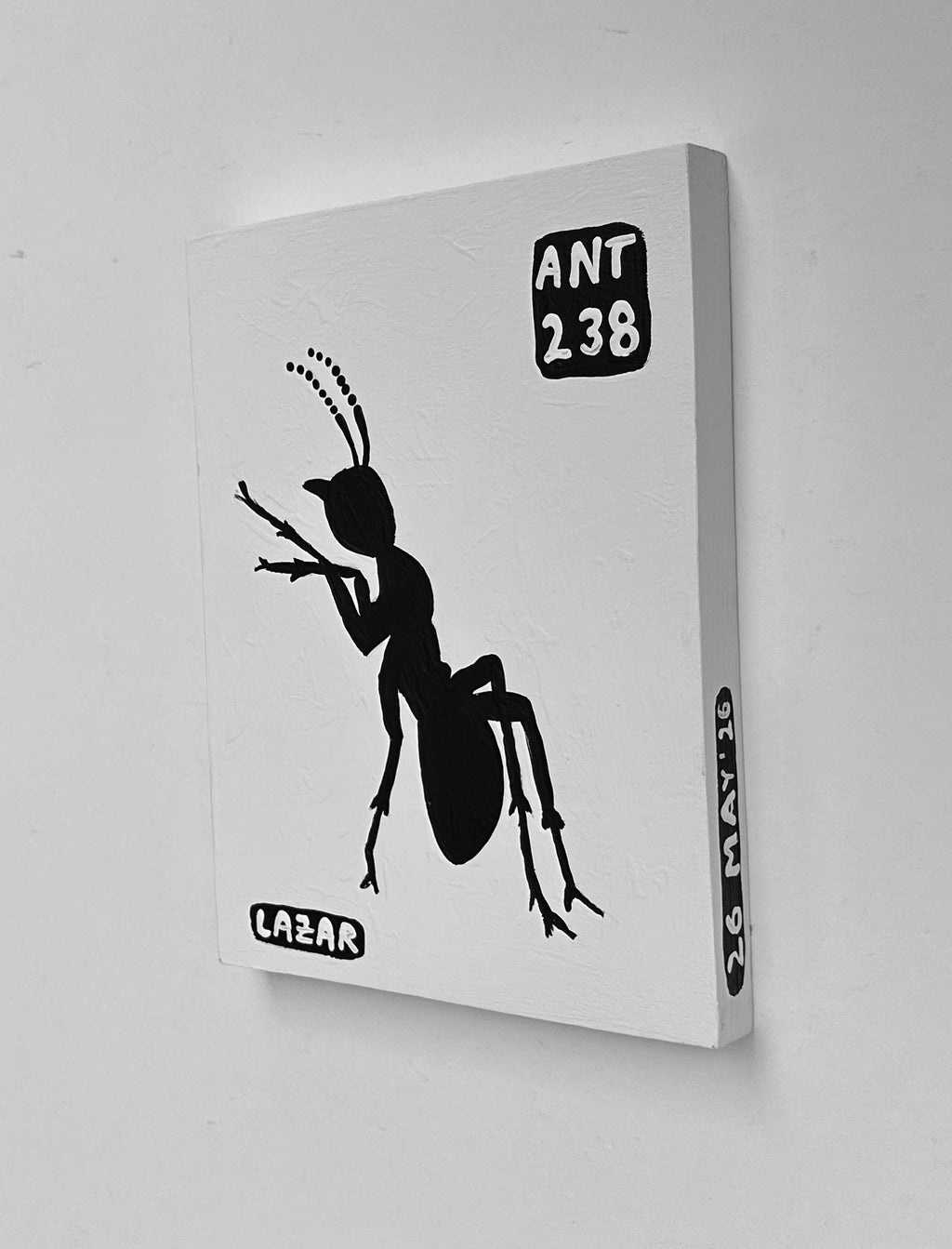 Ant #238