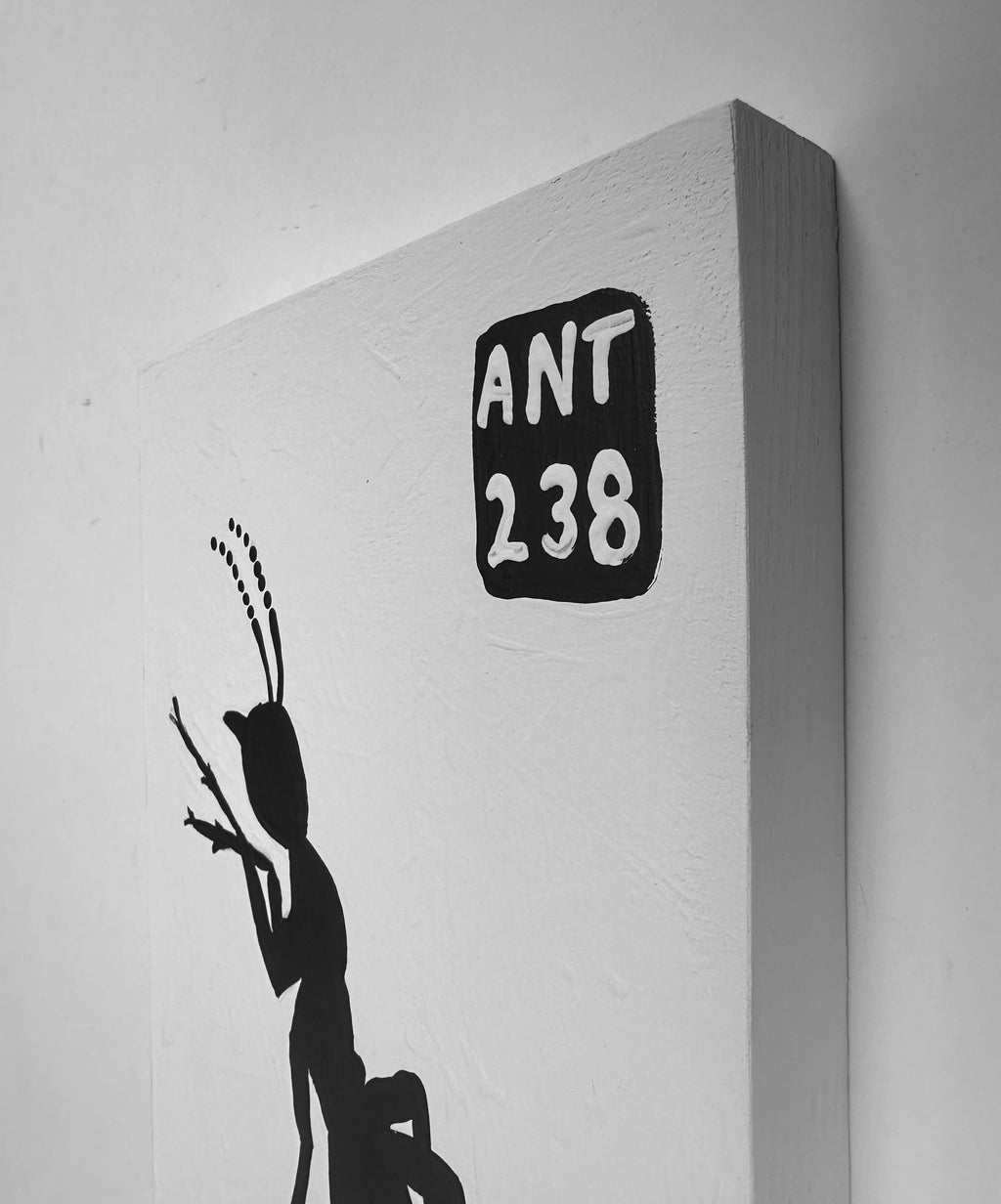 Ant #238