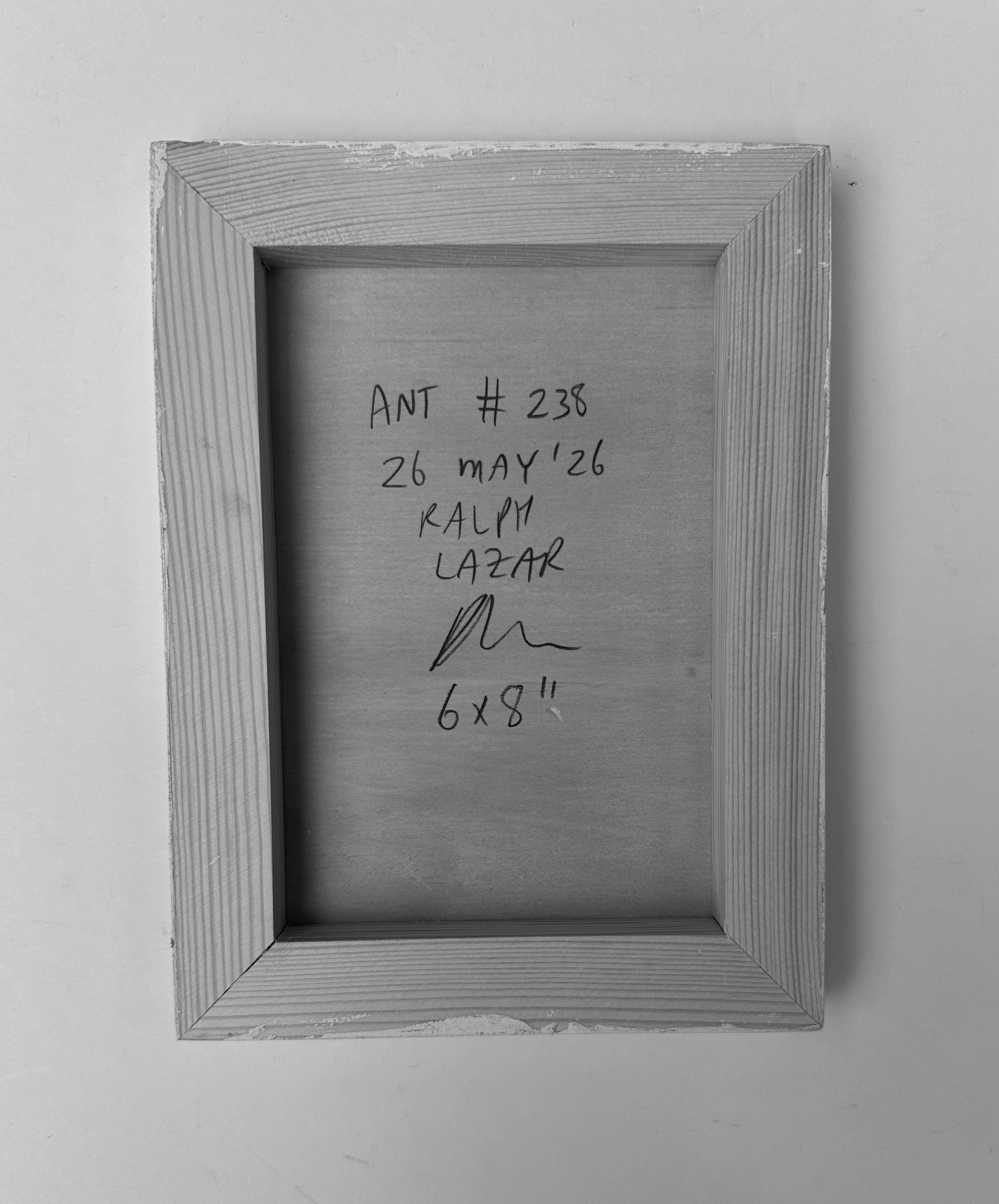 Ant #238