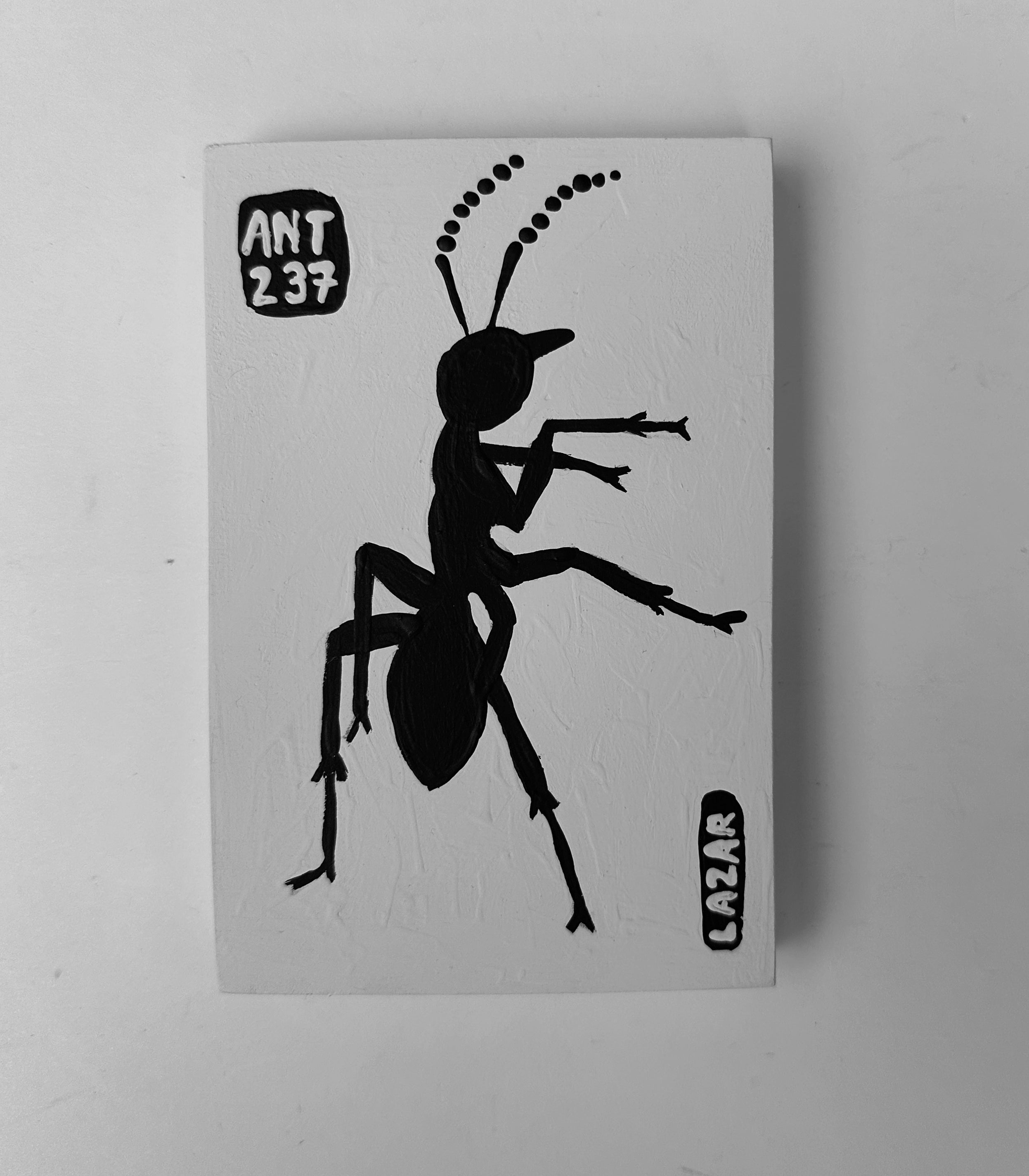 Ant #237