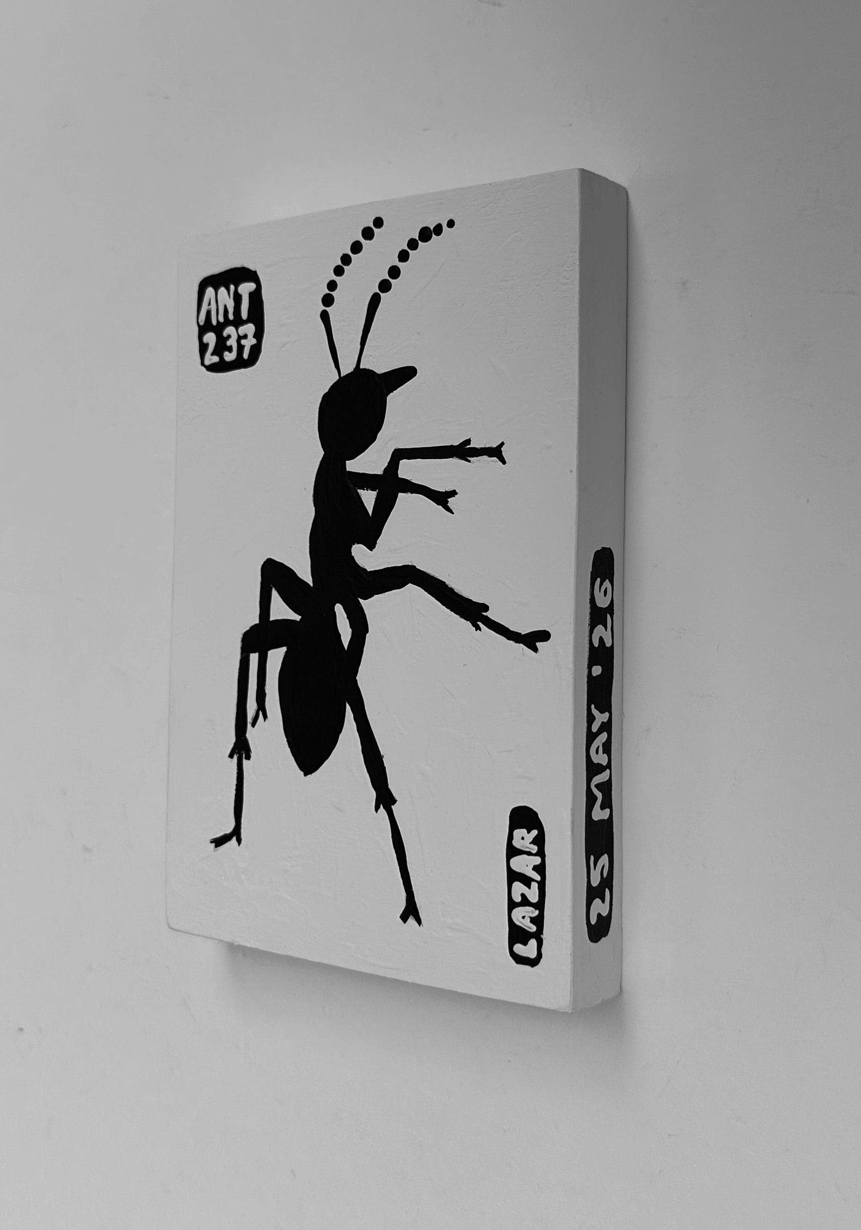 Ant #237