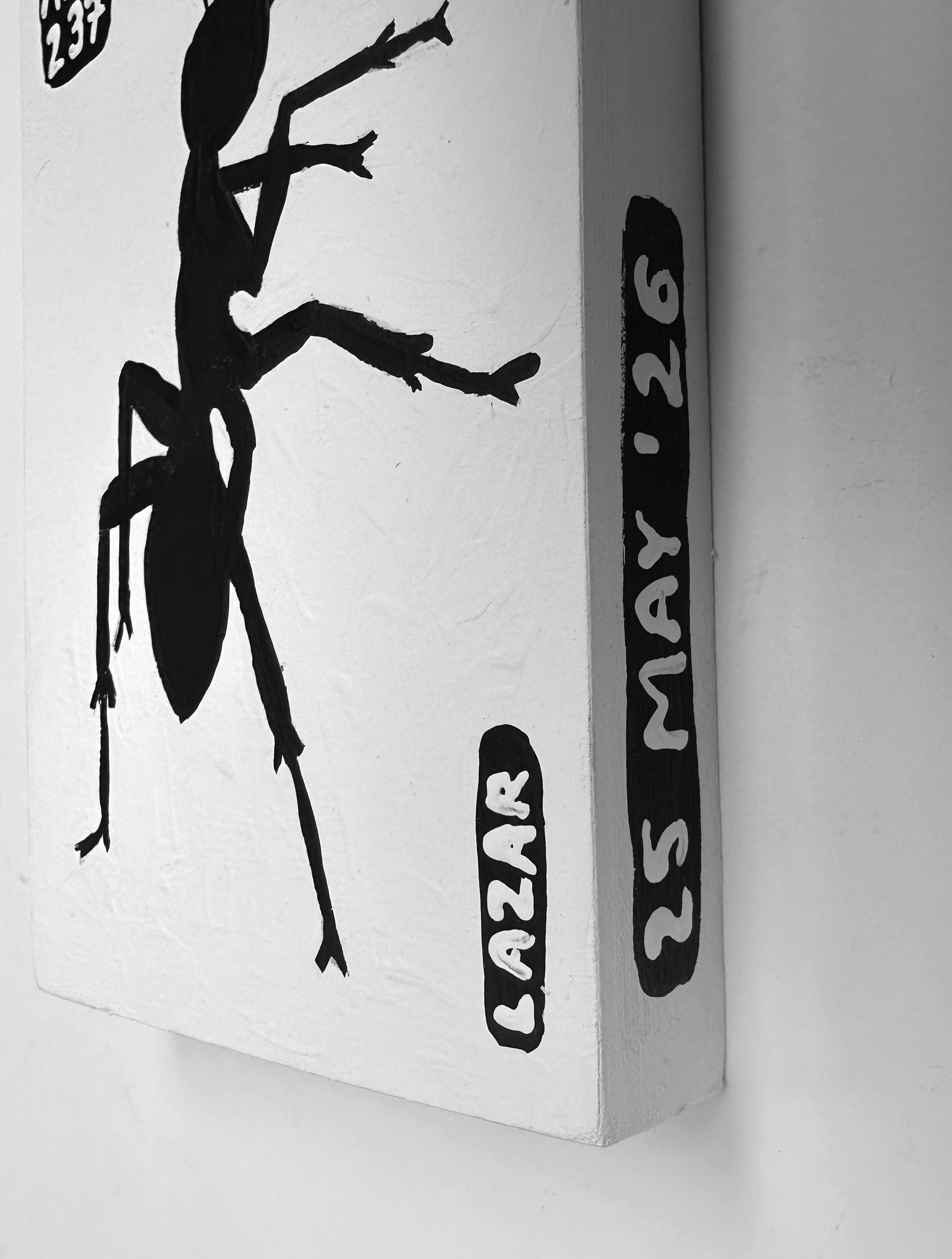 Ant #237