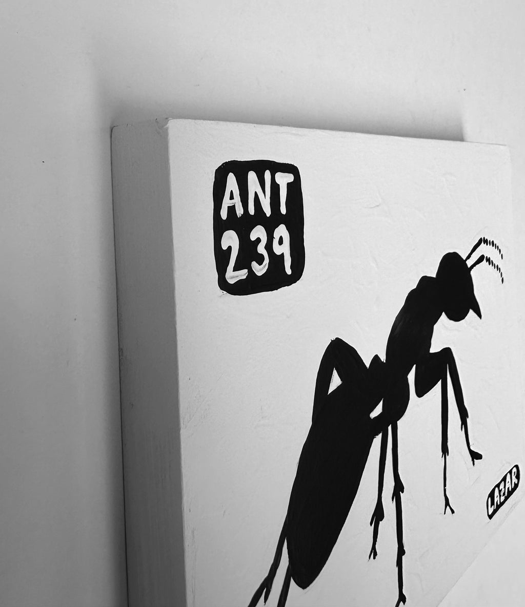 Ant #239