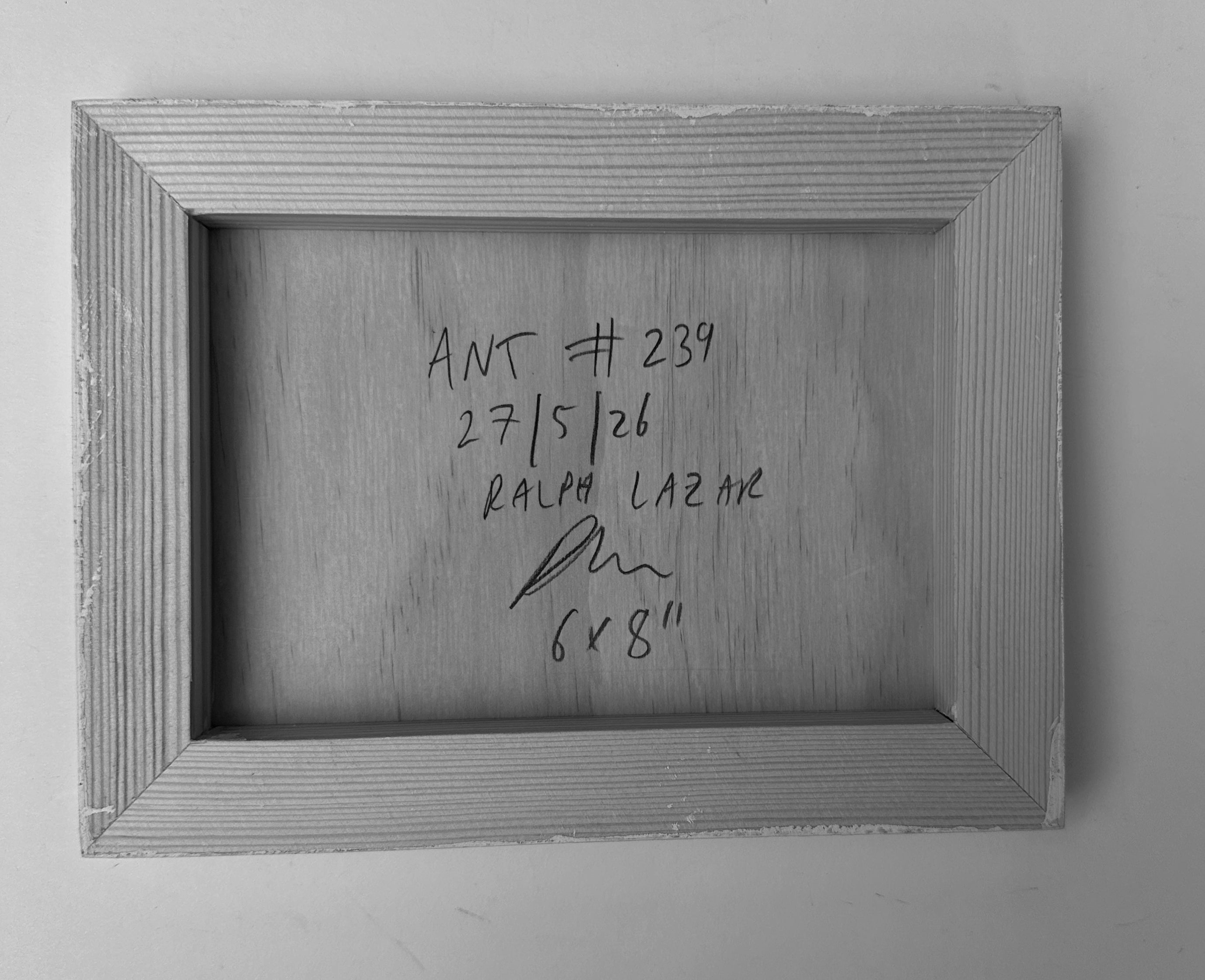 Ant #239