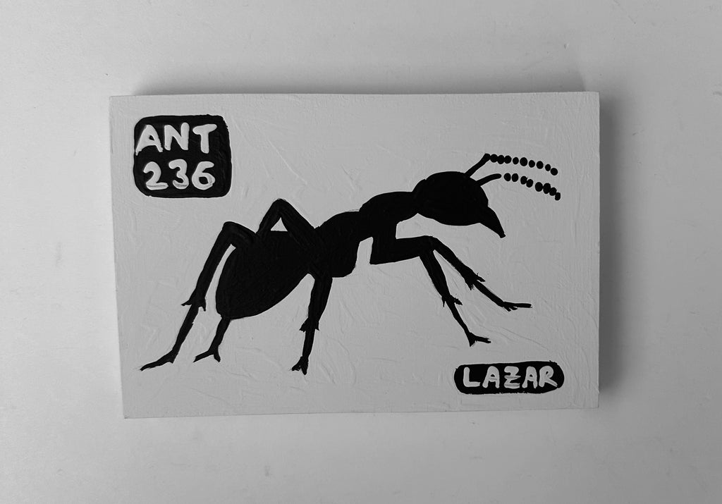 Ant #236