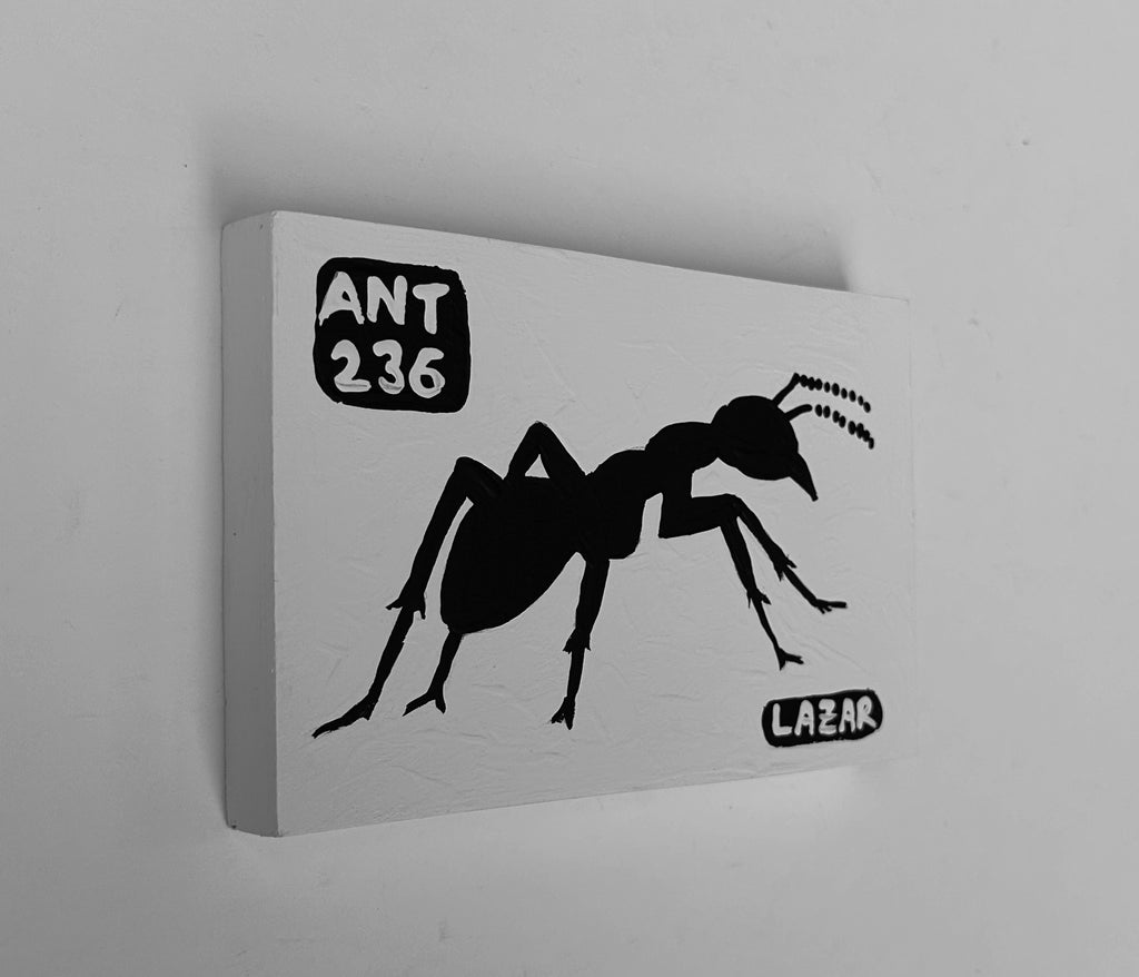 Ant #236