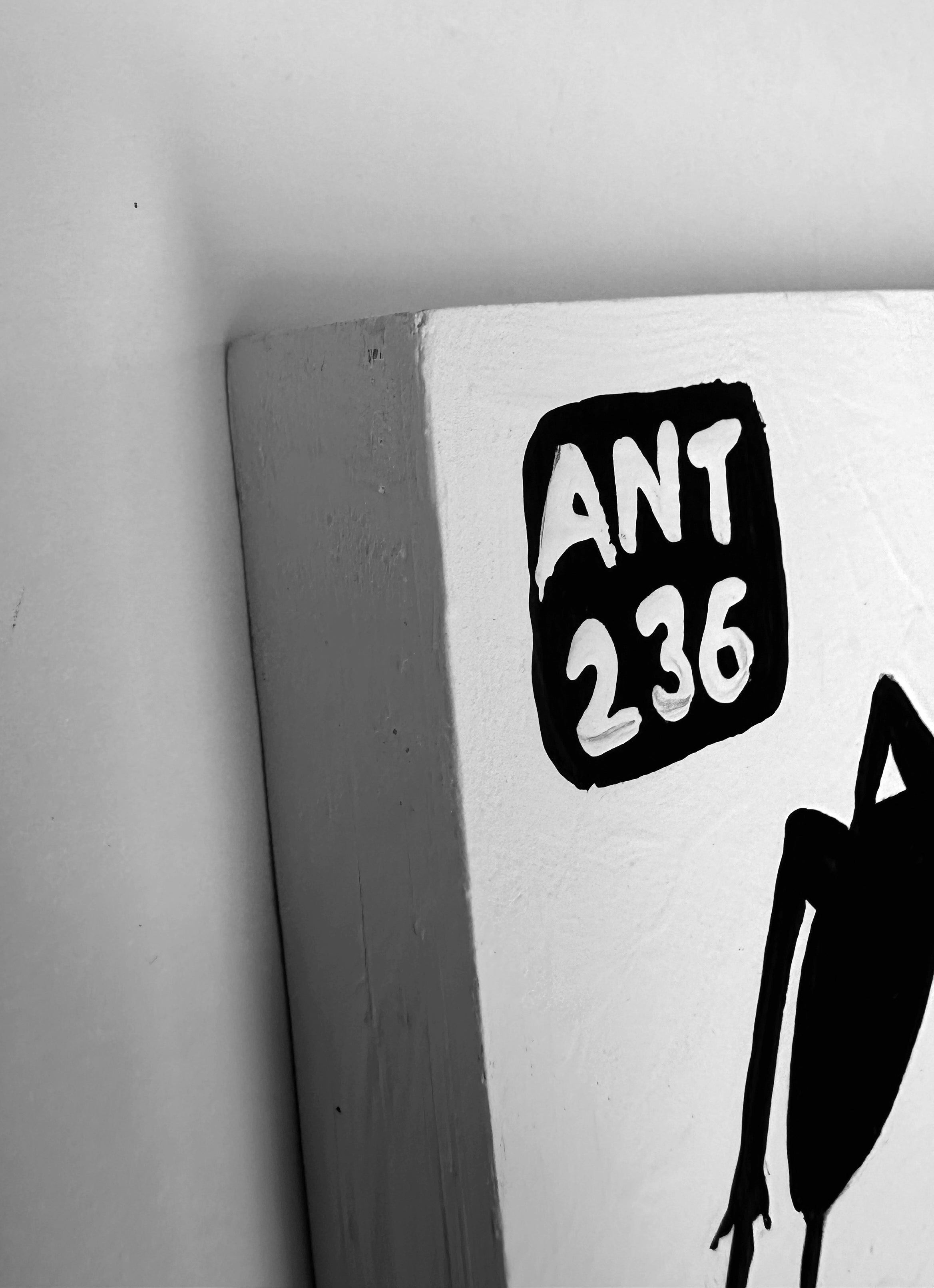 Ant #236
