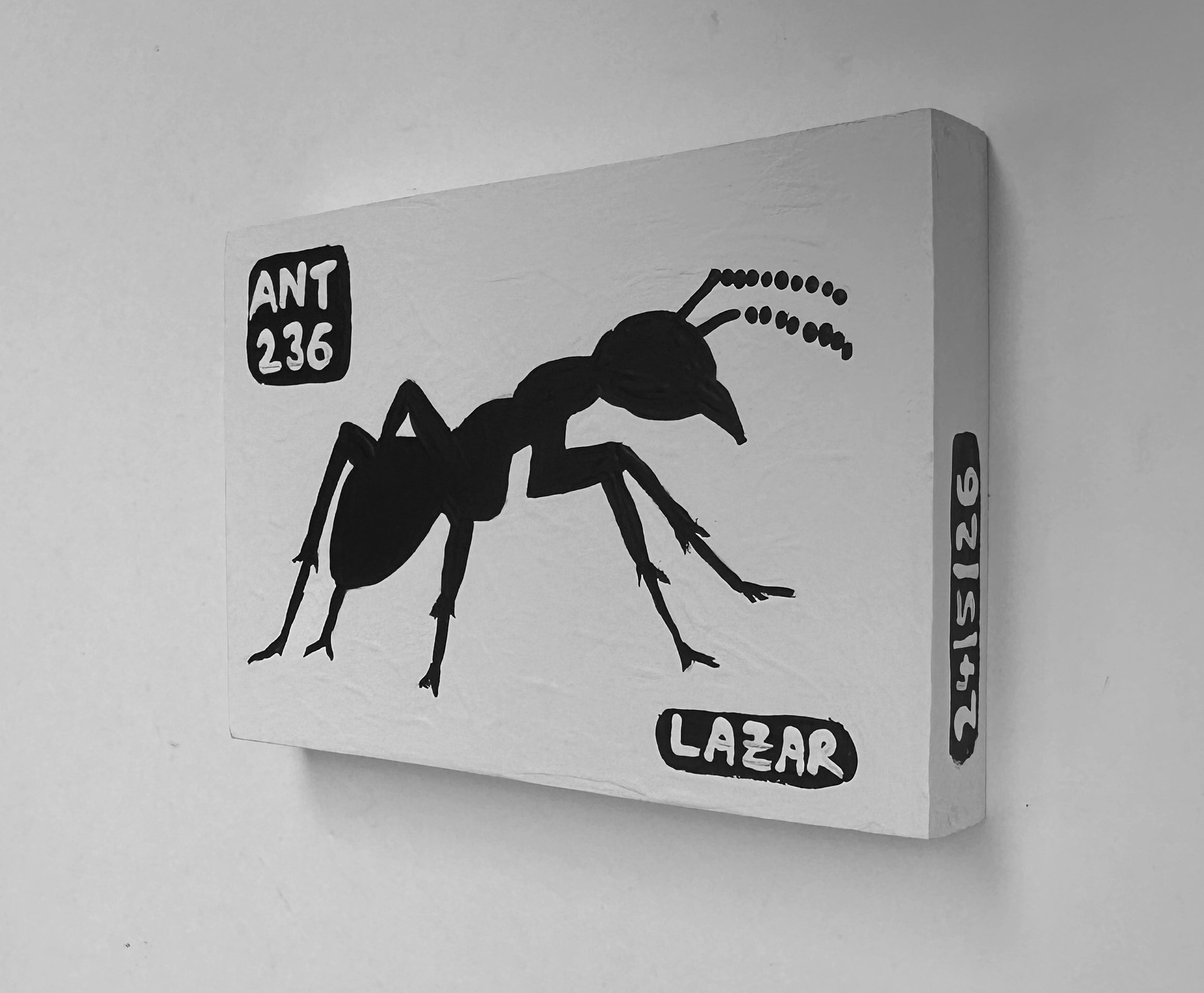 Ant #236