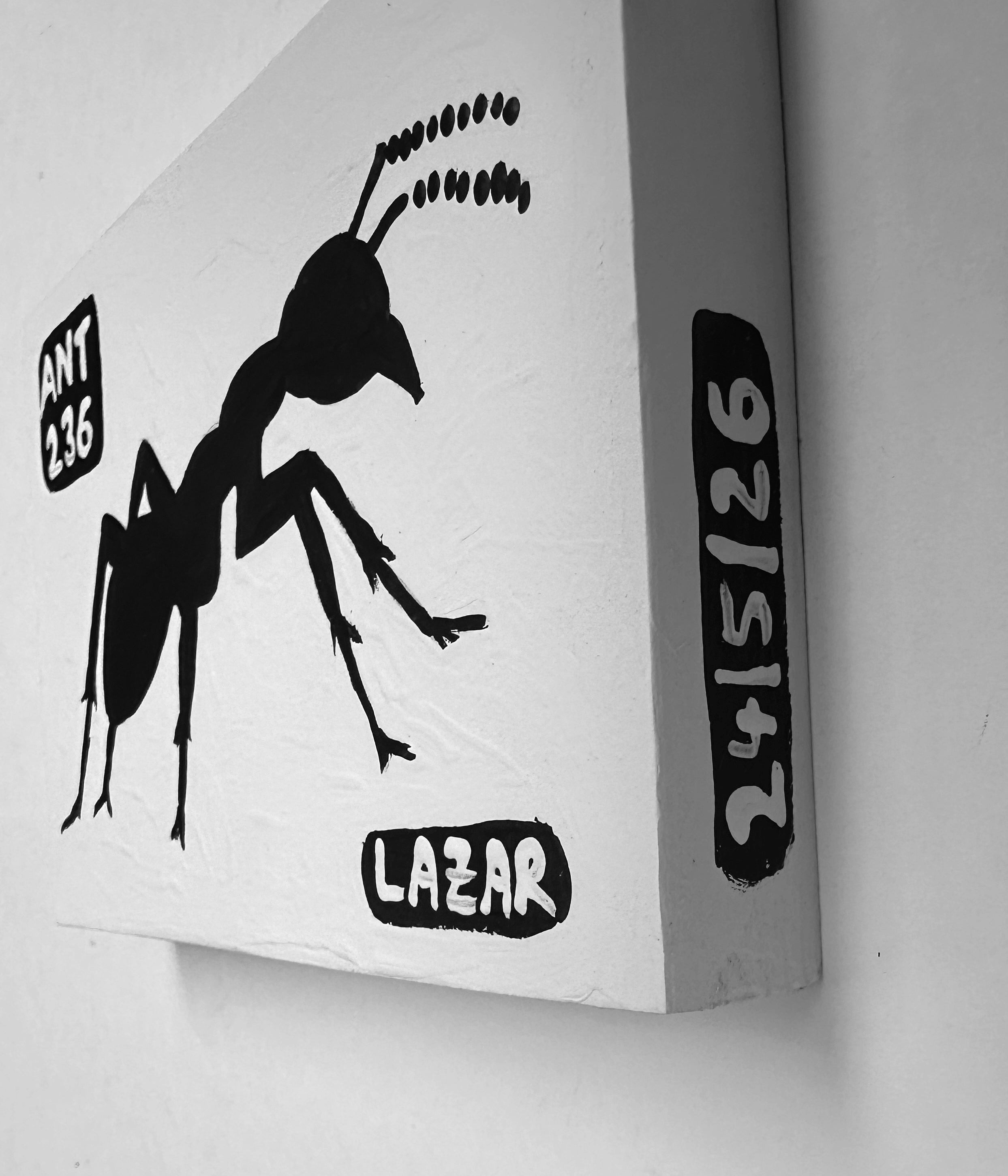 Ant #236