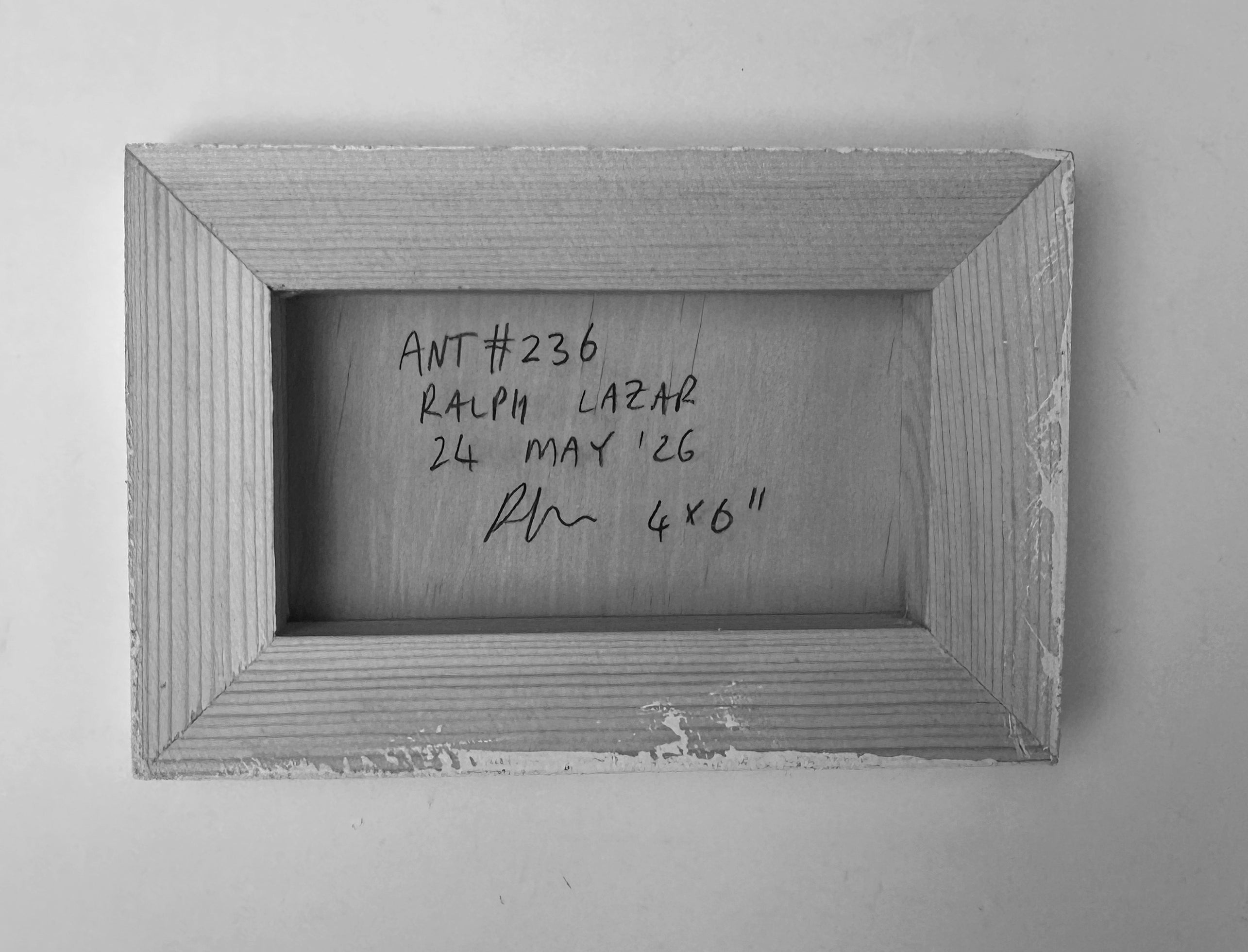 Ant #236