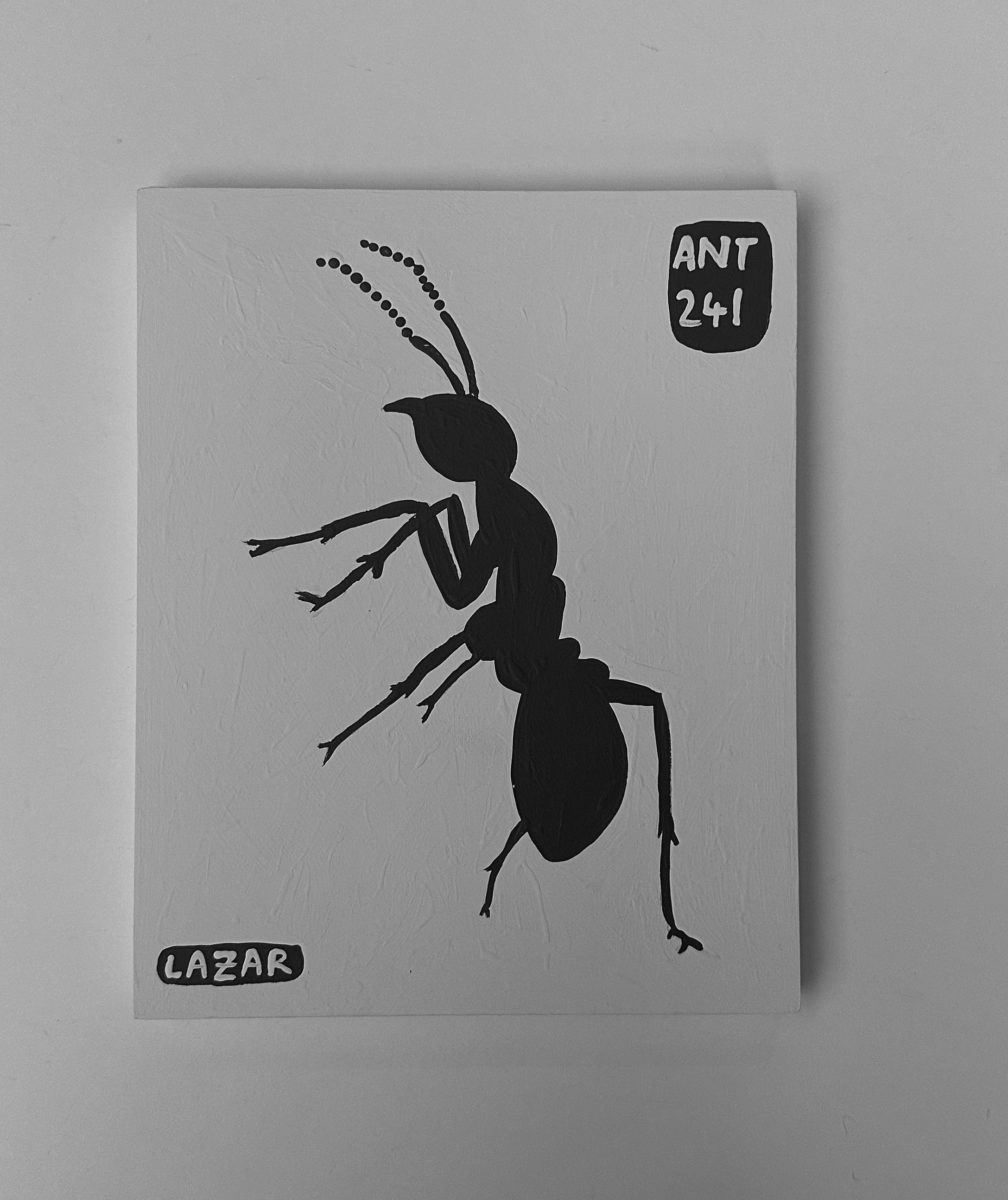 Ant #241
