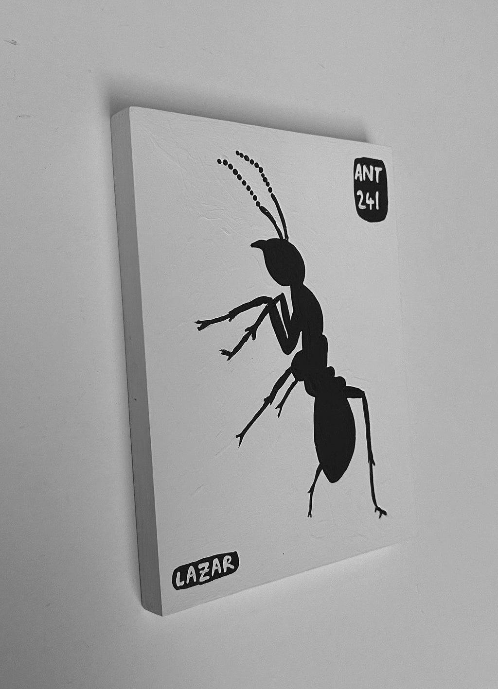 Ant #241