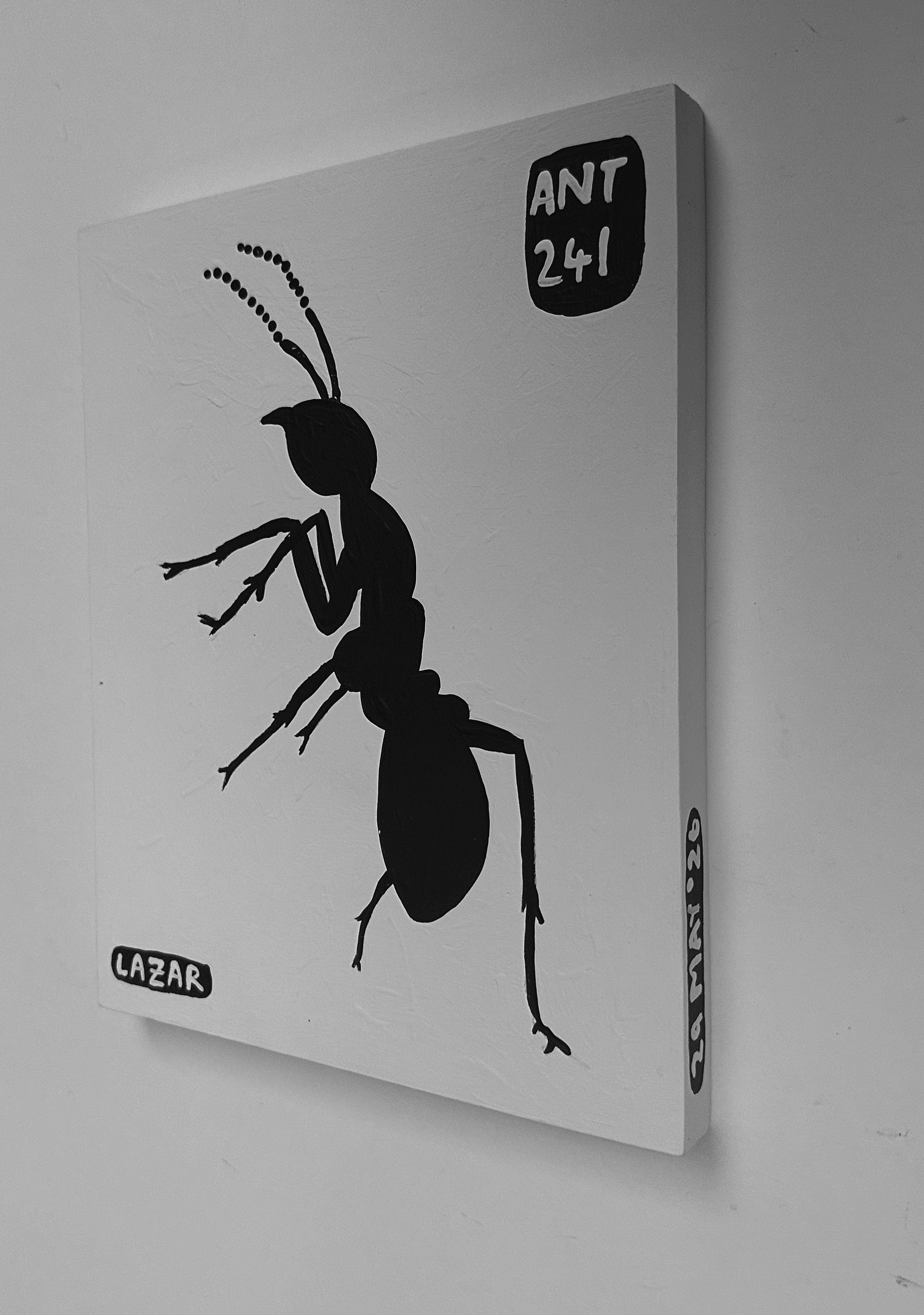 Ant #241