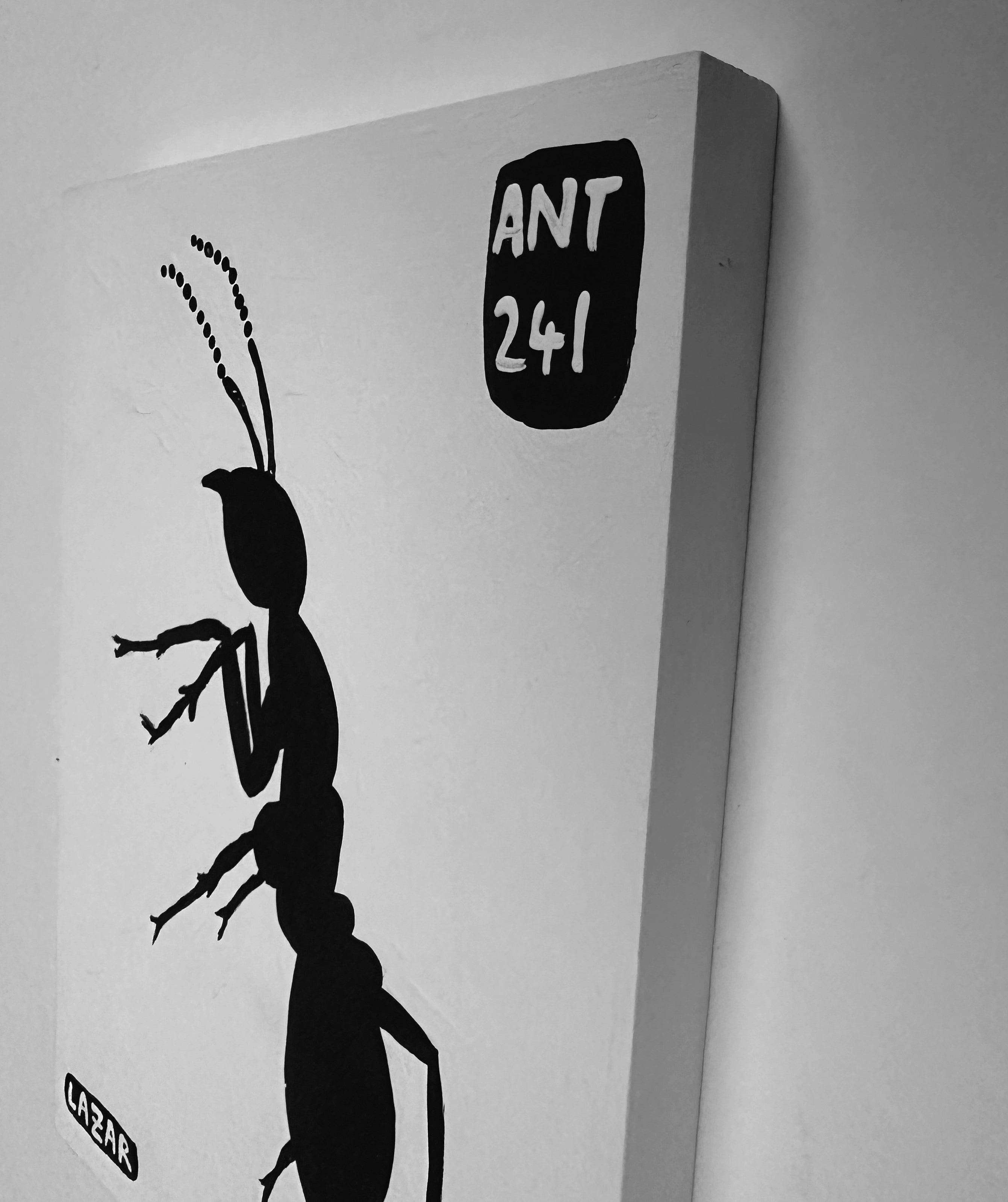 Ant #241