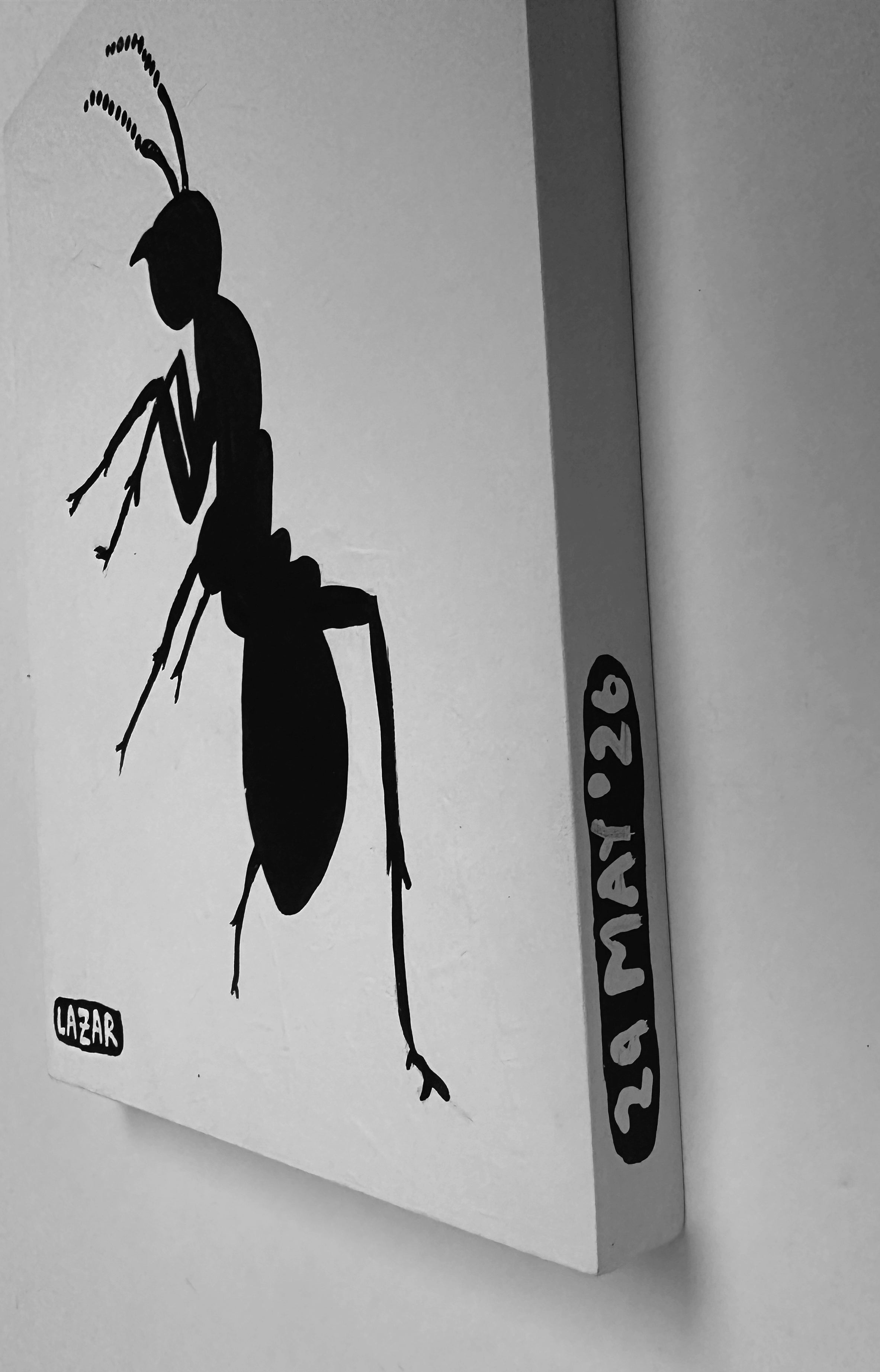 Ant #241