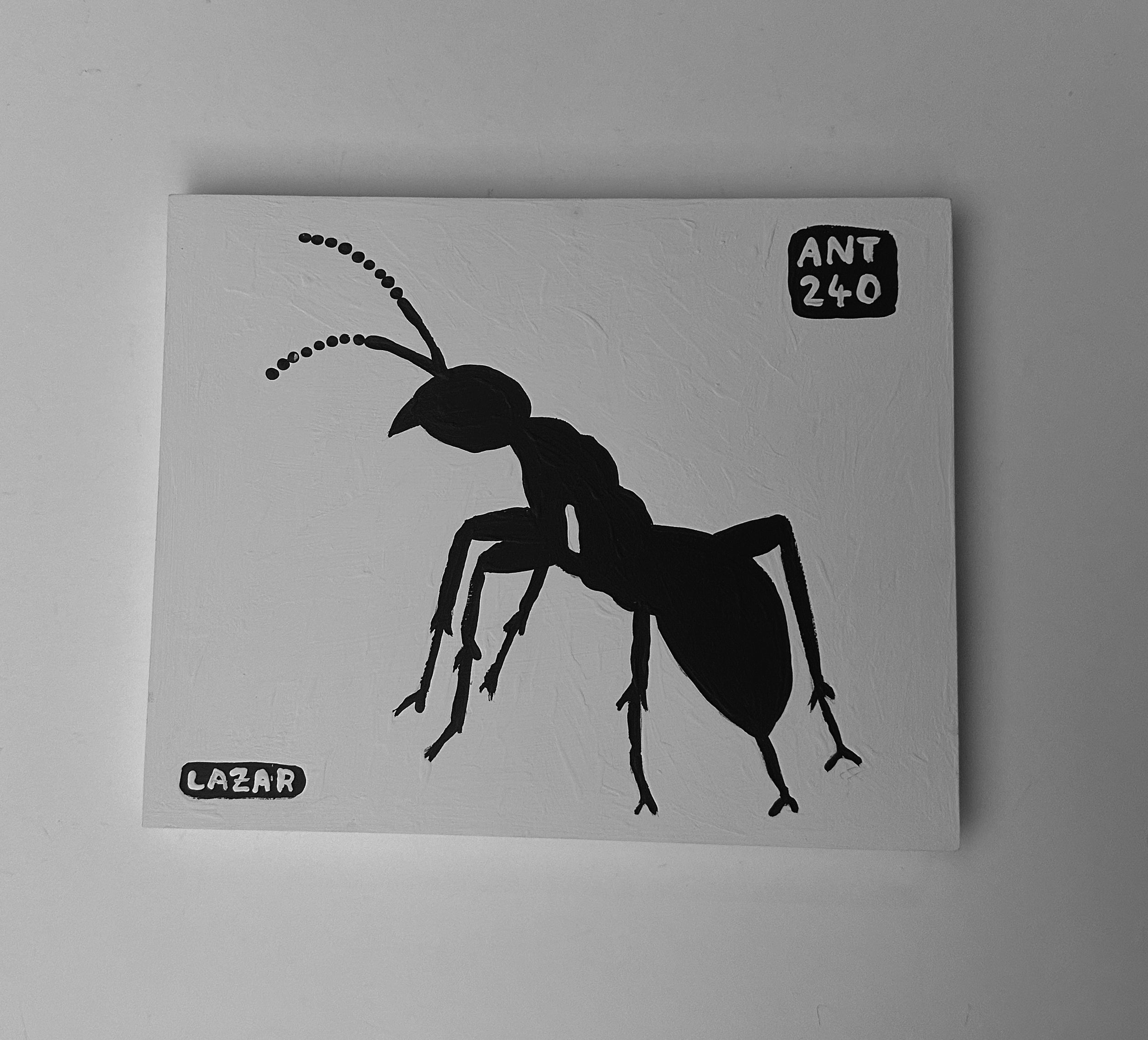 Ant #240