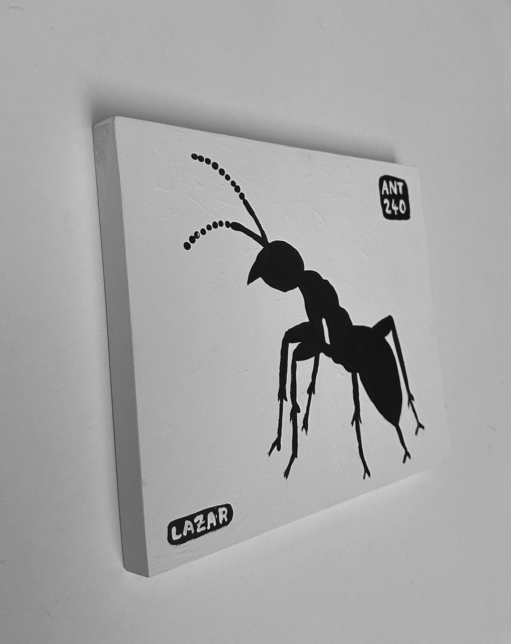 Ant #240
