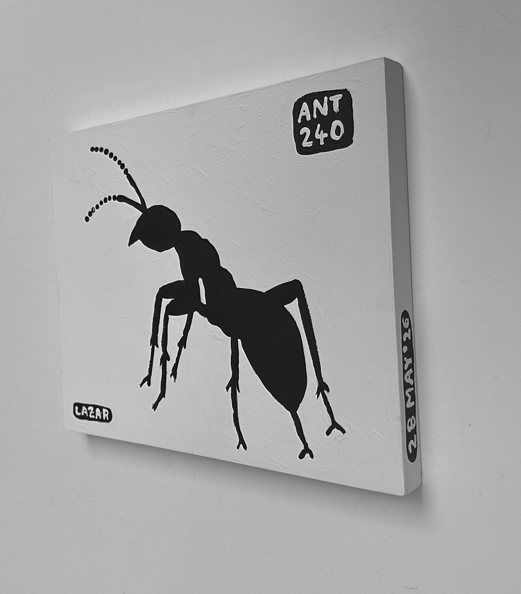 Ant #240