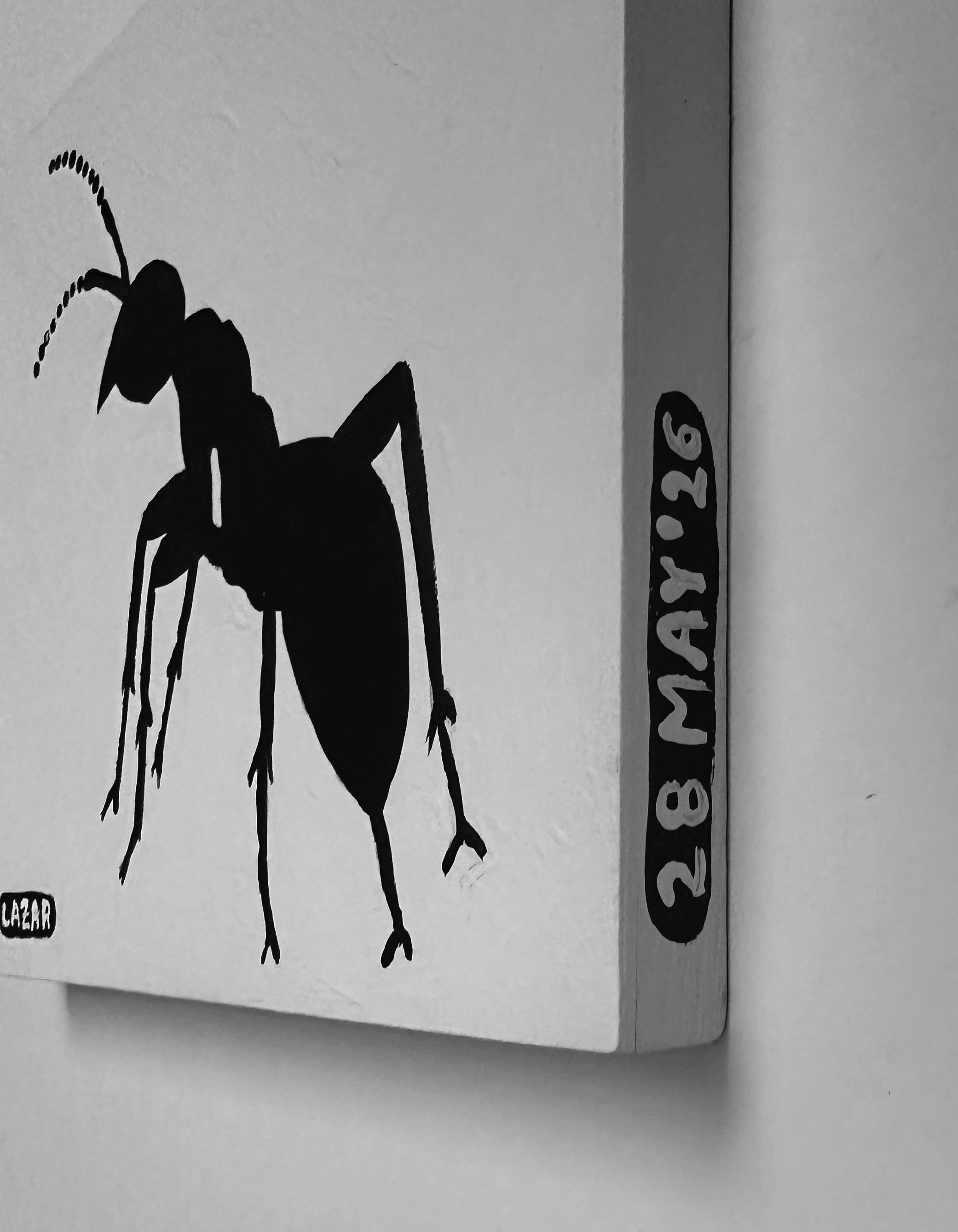 Ant #240