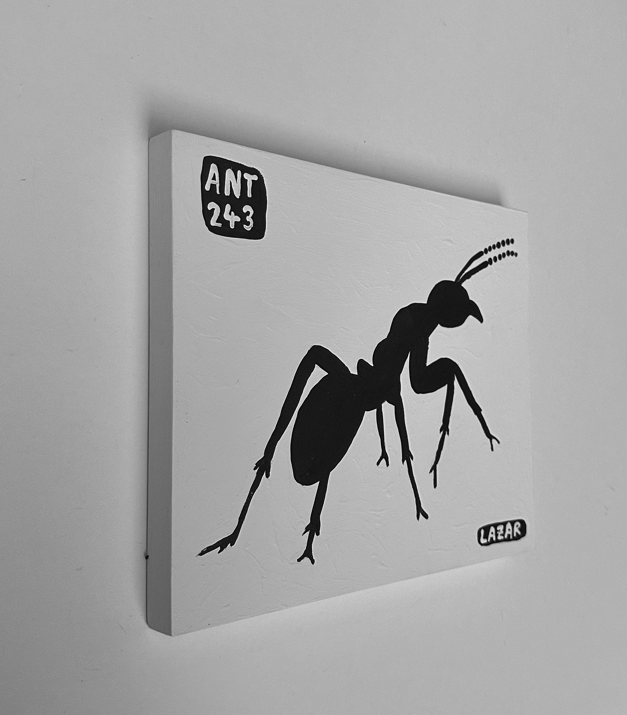 Ant #243