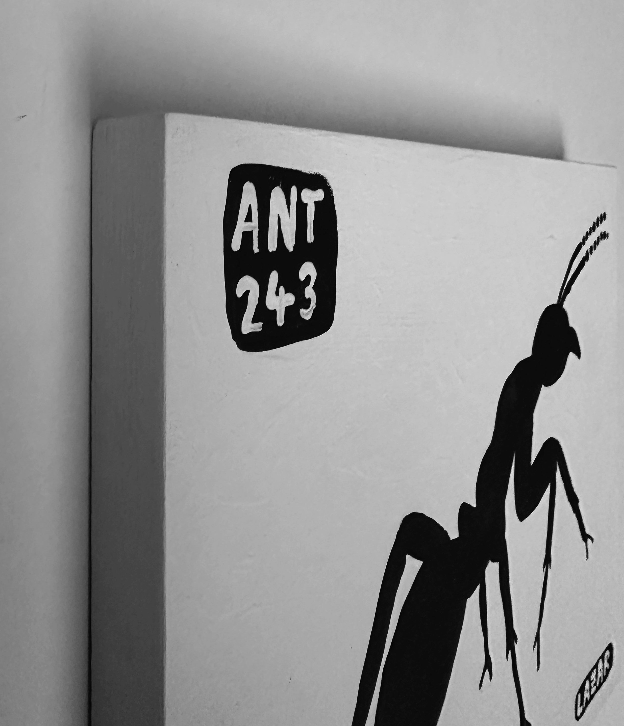 Ant #243