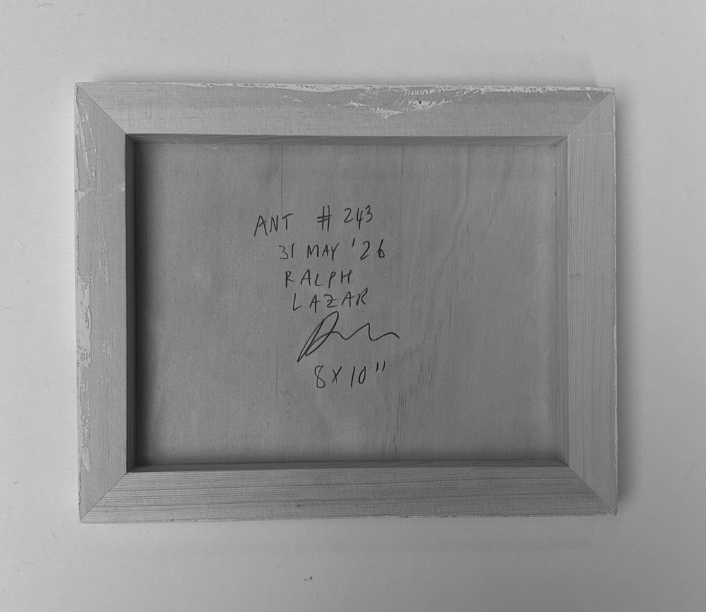 Ant #243