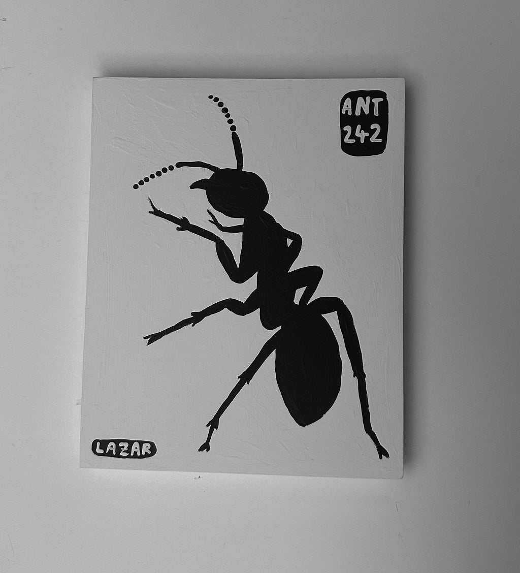 Ant #242